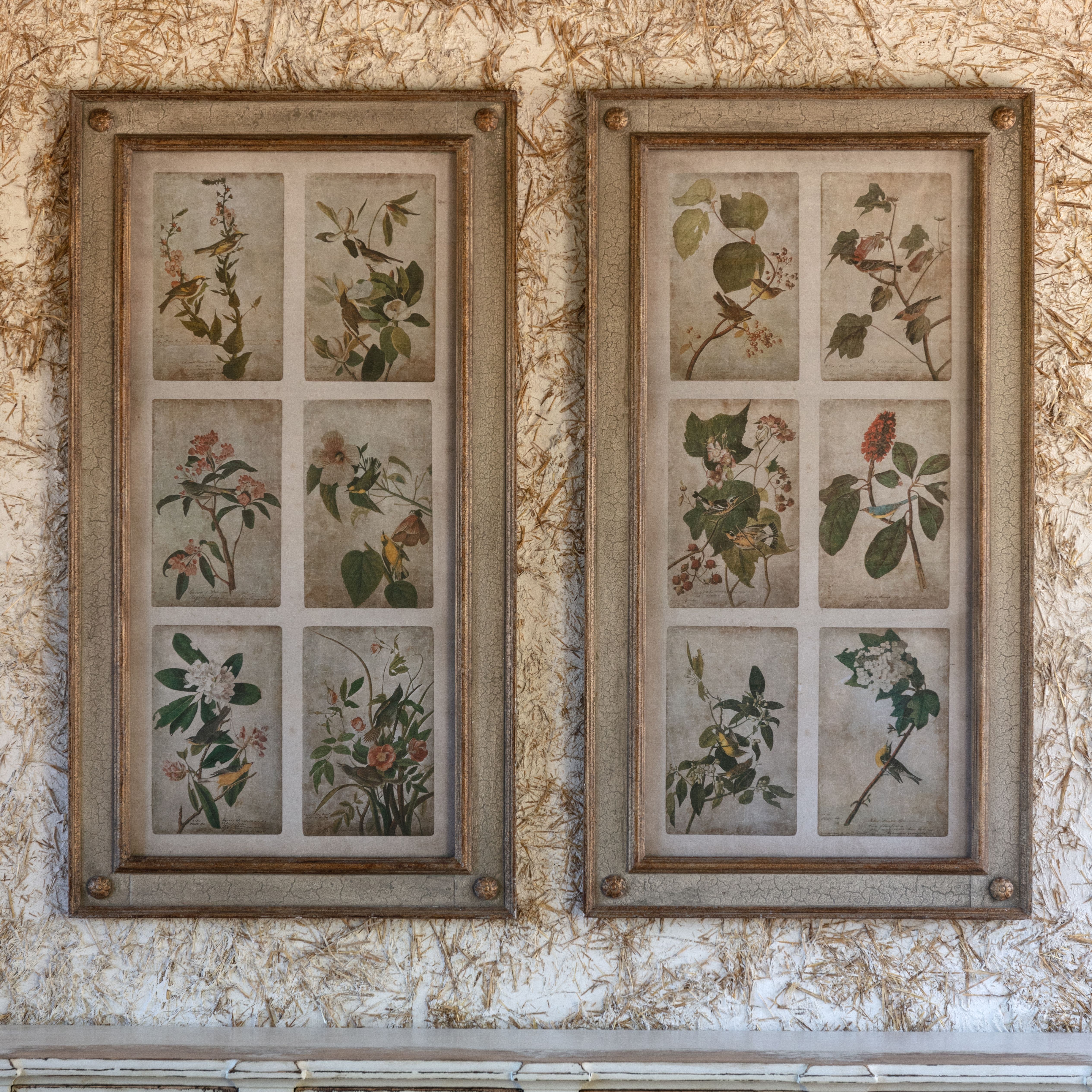 Aged Bird and Floral Framed Print Collection, Set of 2