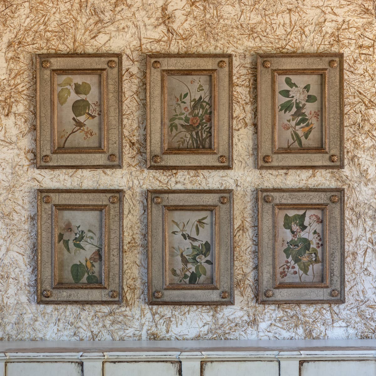 Aged Bird and Floral Framed Print Collection, Set of 6