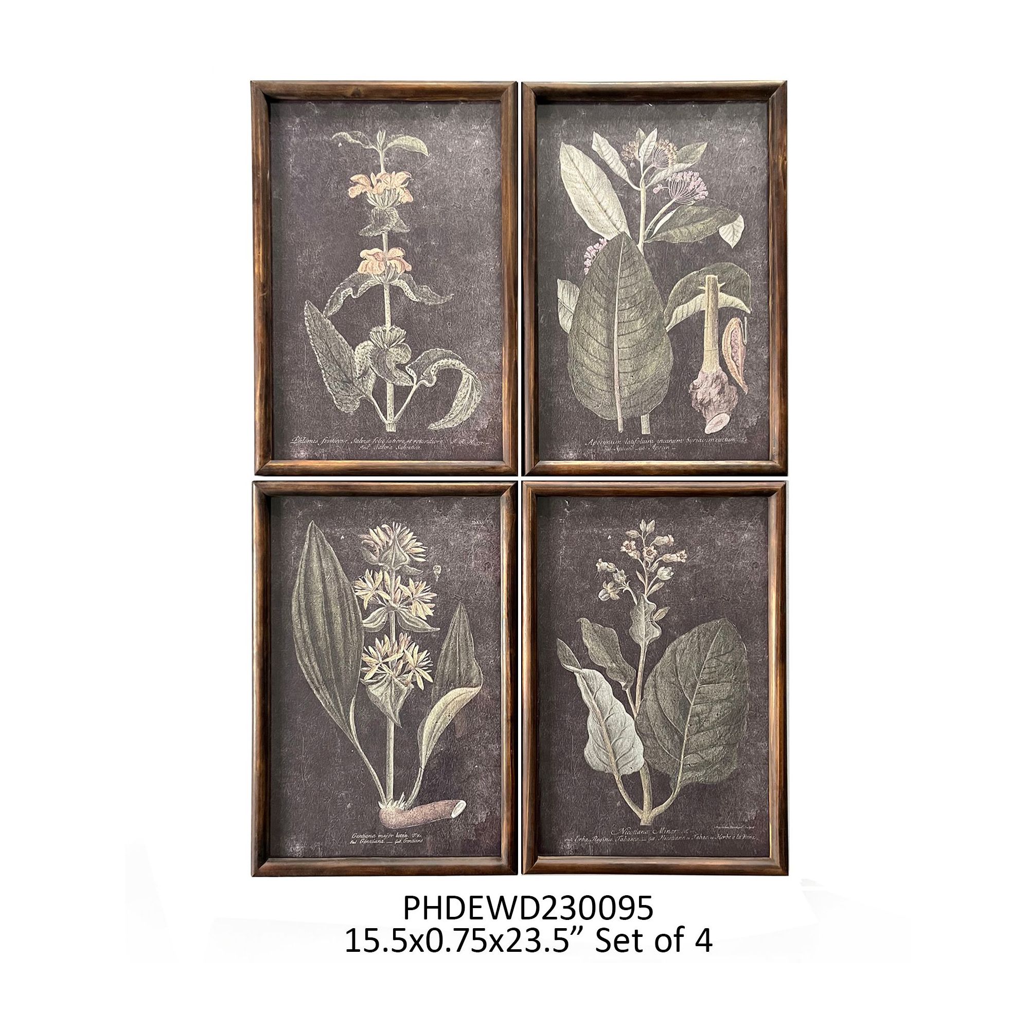 Noir Botanical Prints - Set of 4