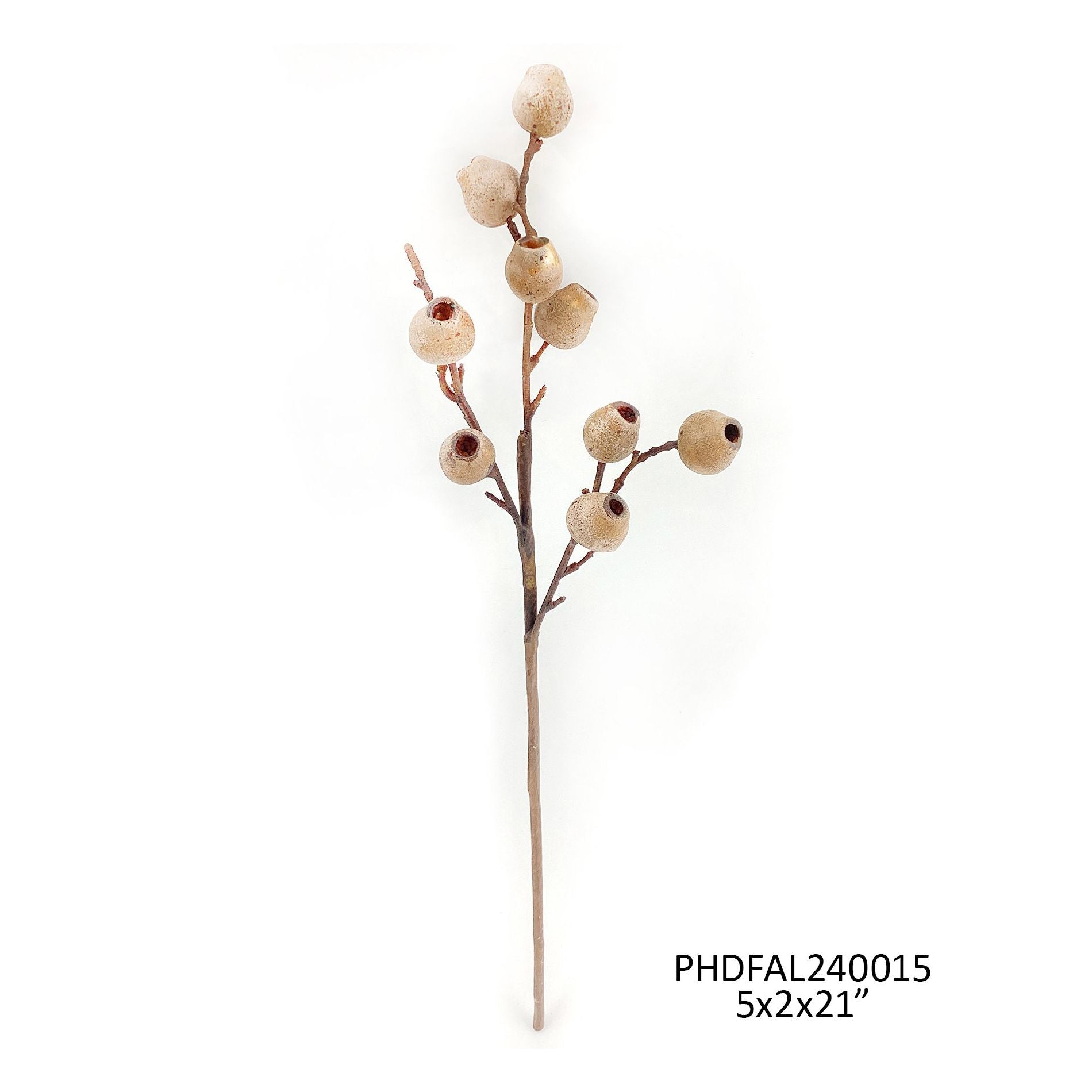 Eucalyptus Pod Spray Citrus