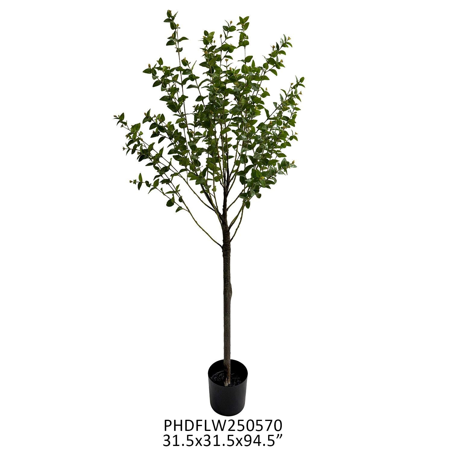 Potted Nicoli Eucalyptus Faux Topiary