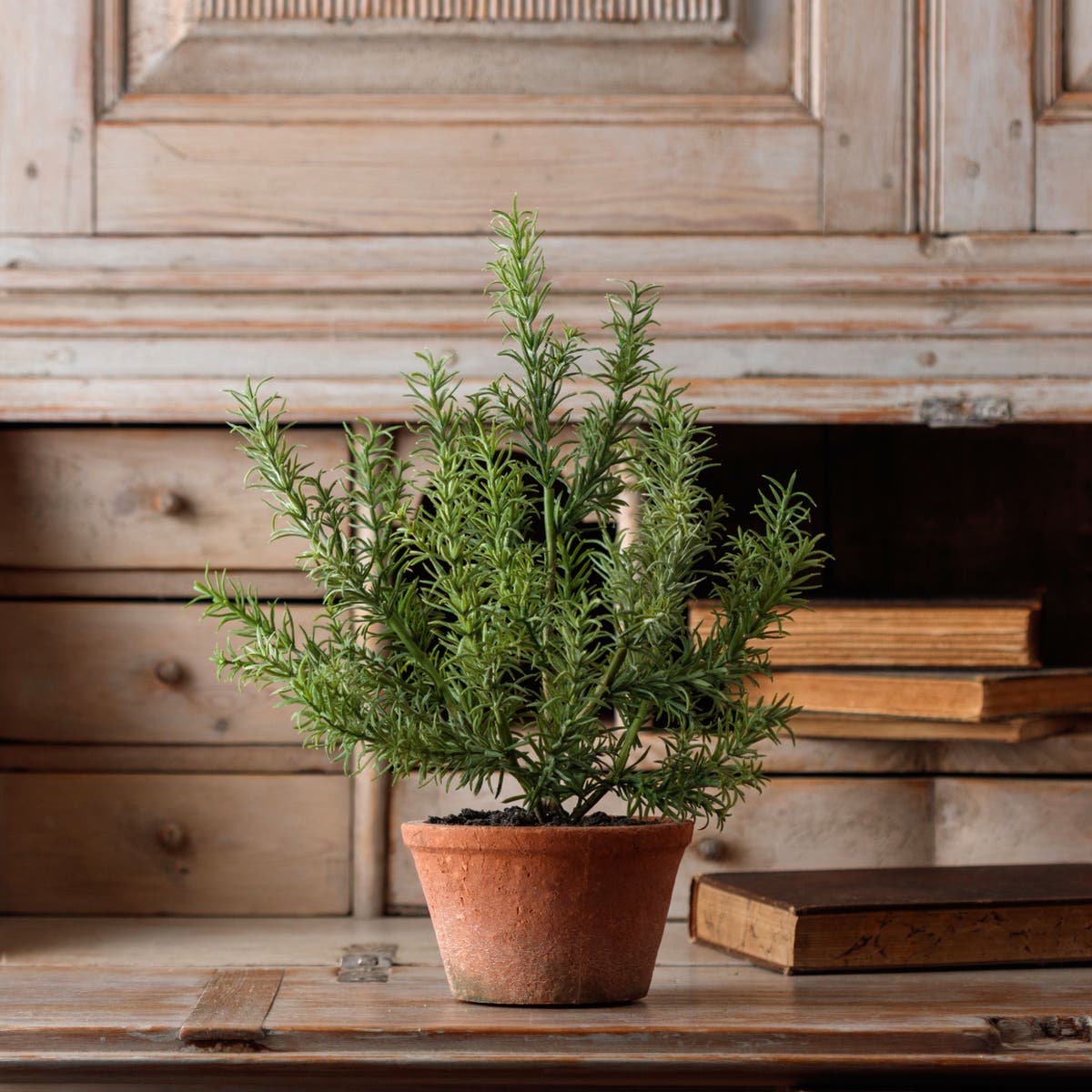 Faux Potted Rosemary