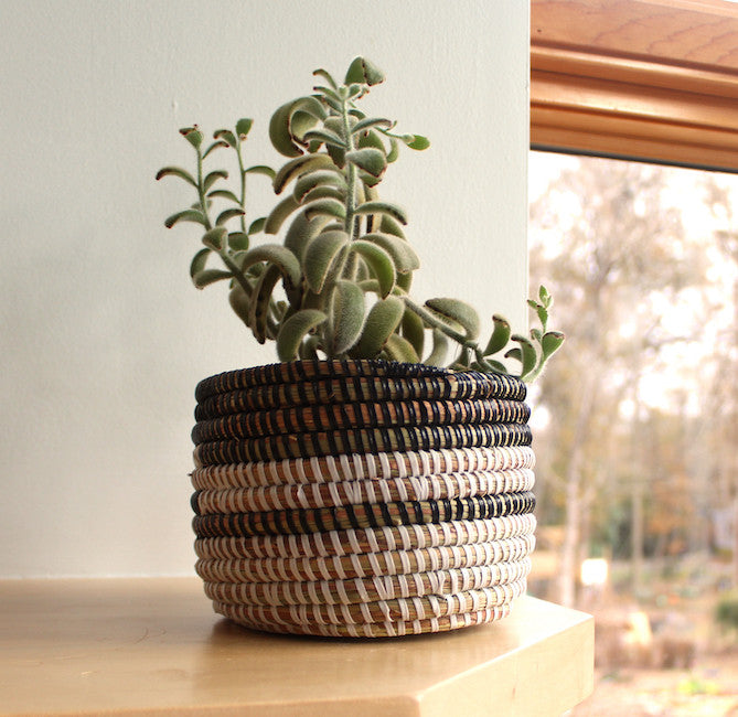 Black and White Stripe Basket - Small