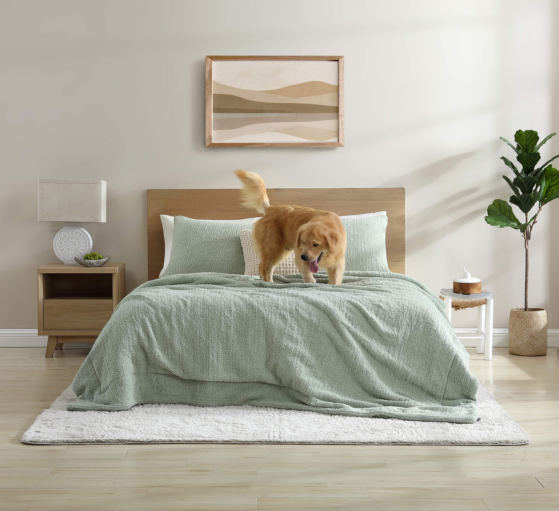 Snug + Lumière Sham Set