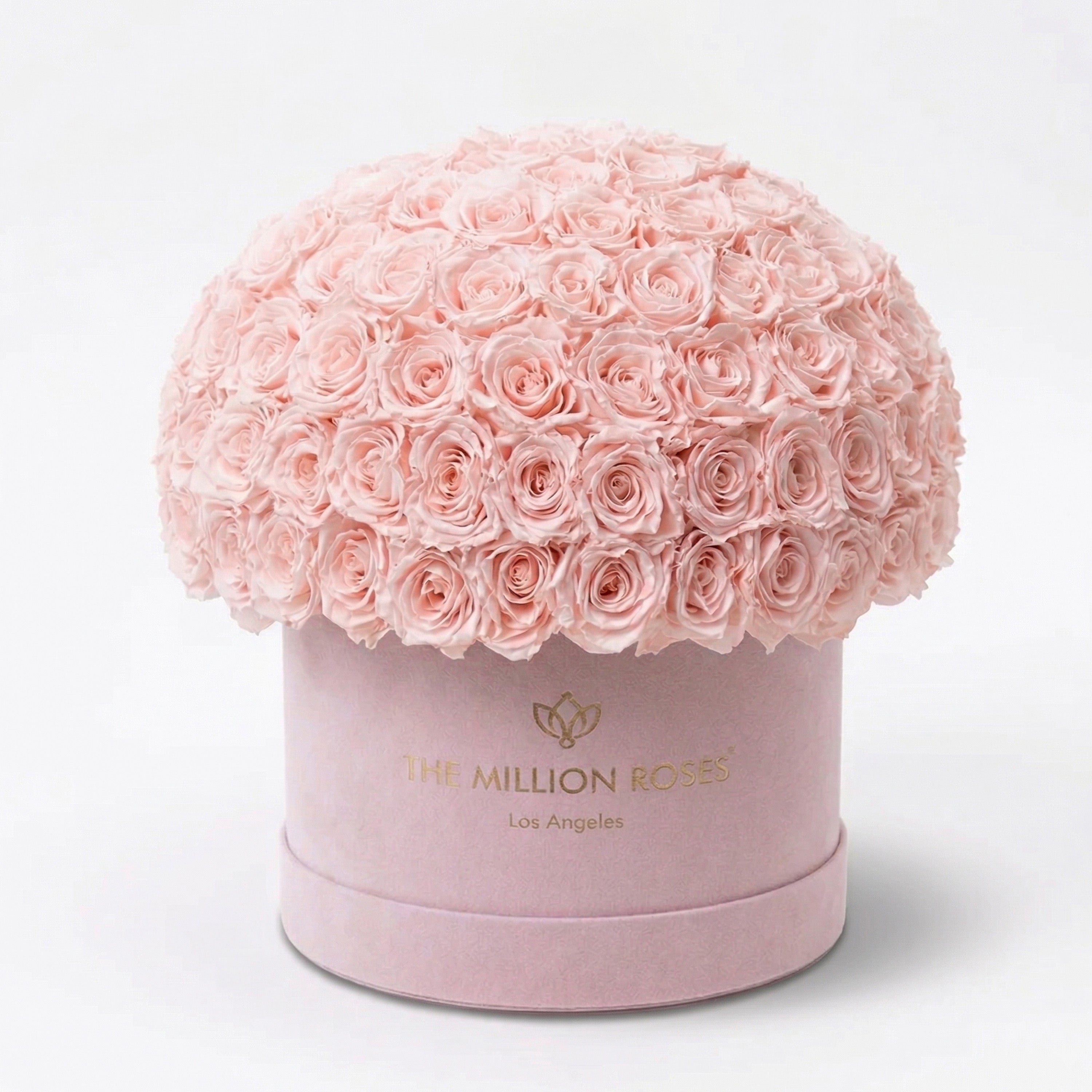 Supreme Light Pink Suede Superdome Box | Light Pink Roses