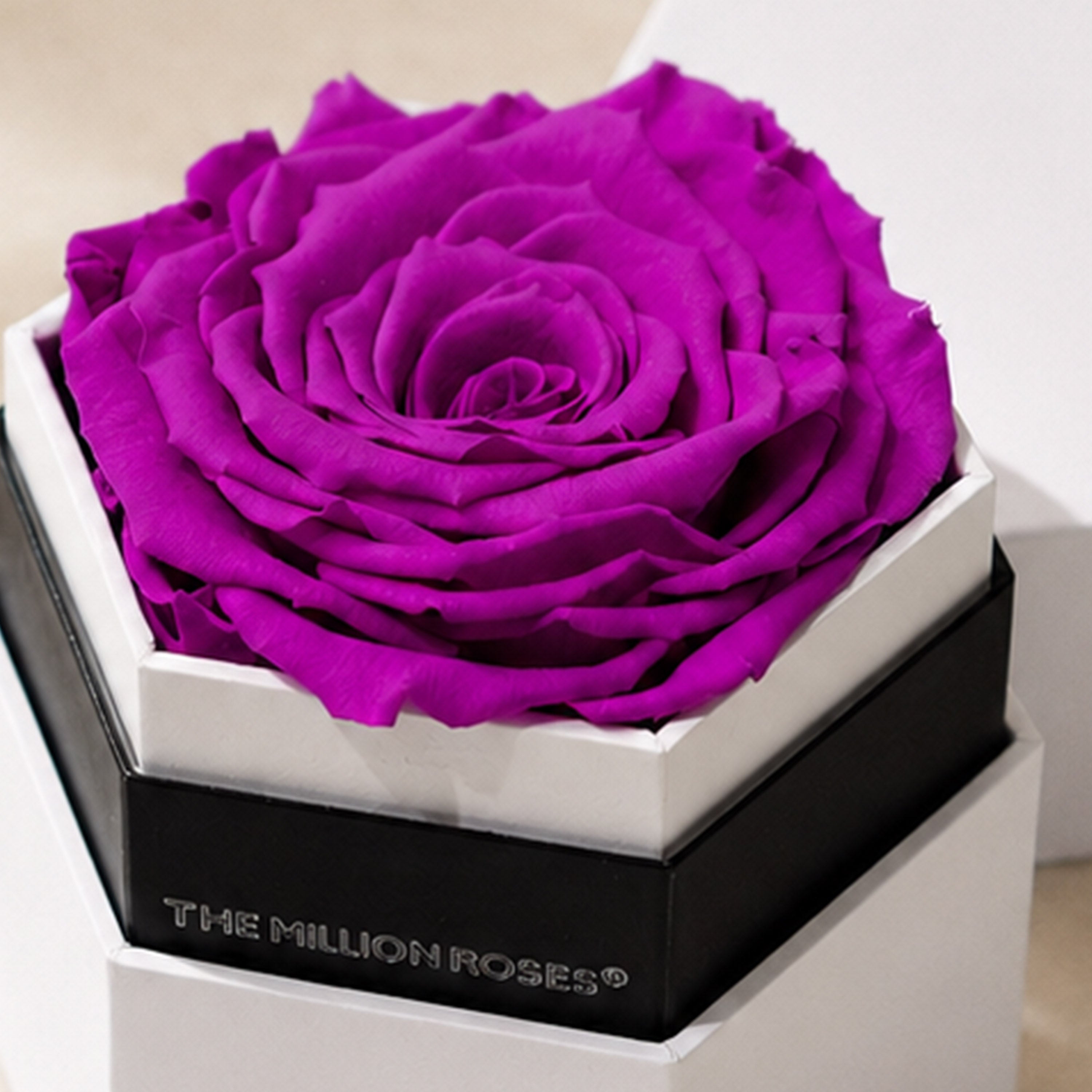 One in a Million™ White Hexagon Box | Bright Purple Rose