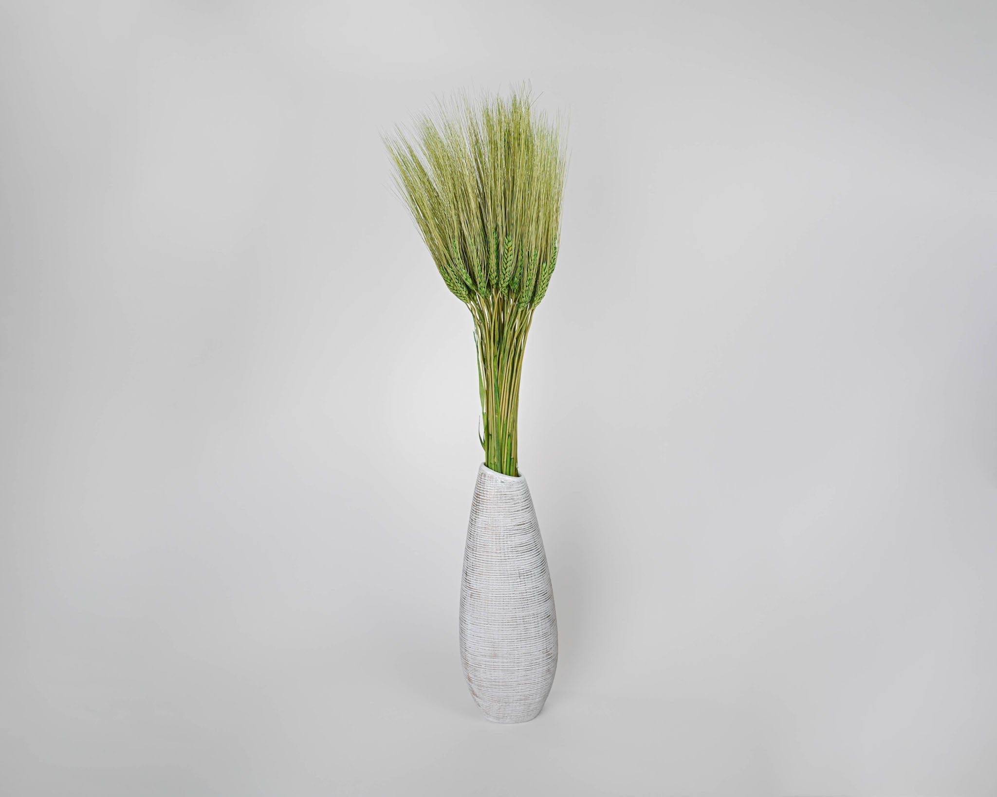Dyed Wheat Stocks | 20 Bunches | Color Options Available