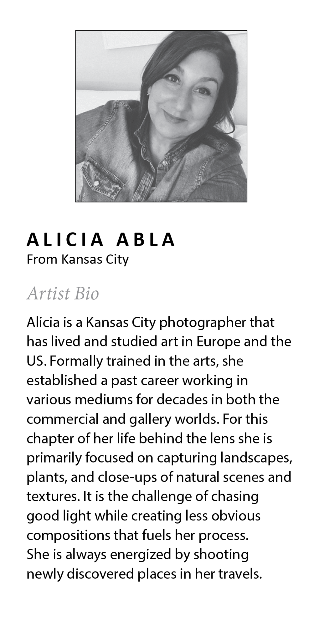 Sylvie Fogged Landscape Framed Canvas by Alicia Abla