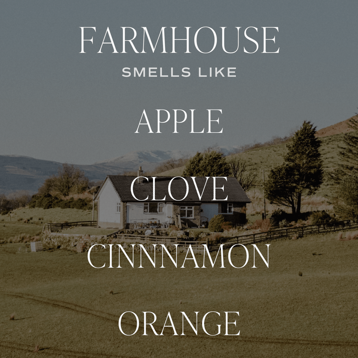 *NEW* Farmhouse Reed Diffuser