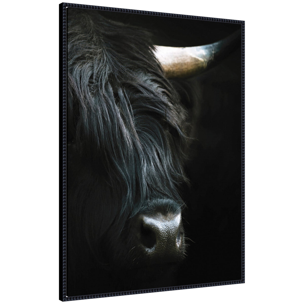 Minimalist Black Highland Cow Closeby Michael Schauer Framed Canvas Wall Art Print