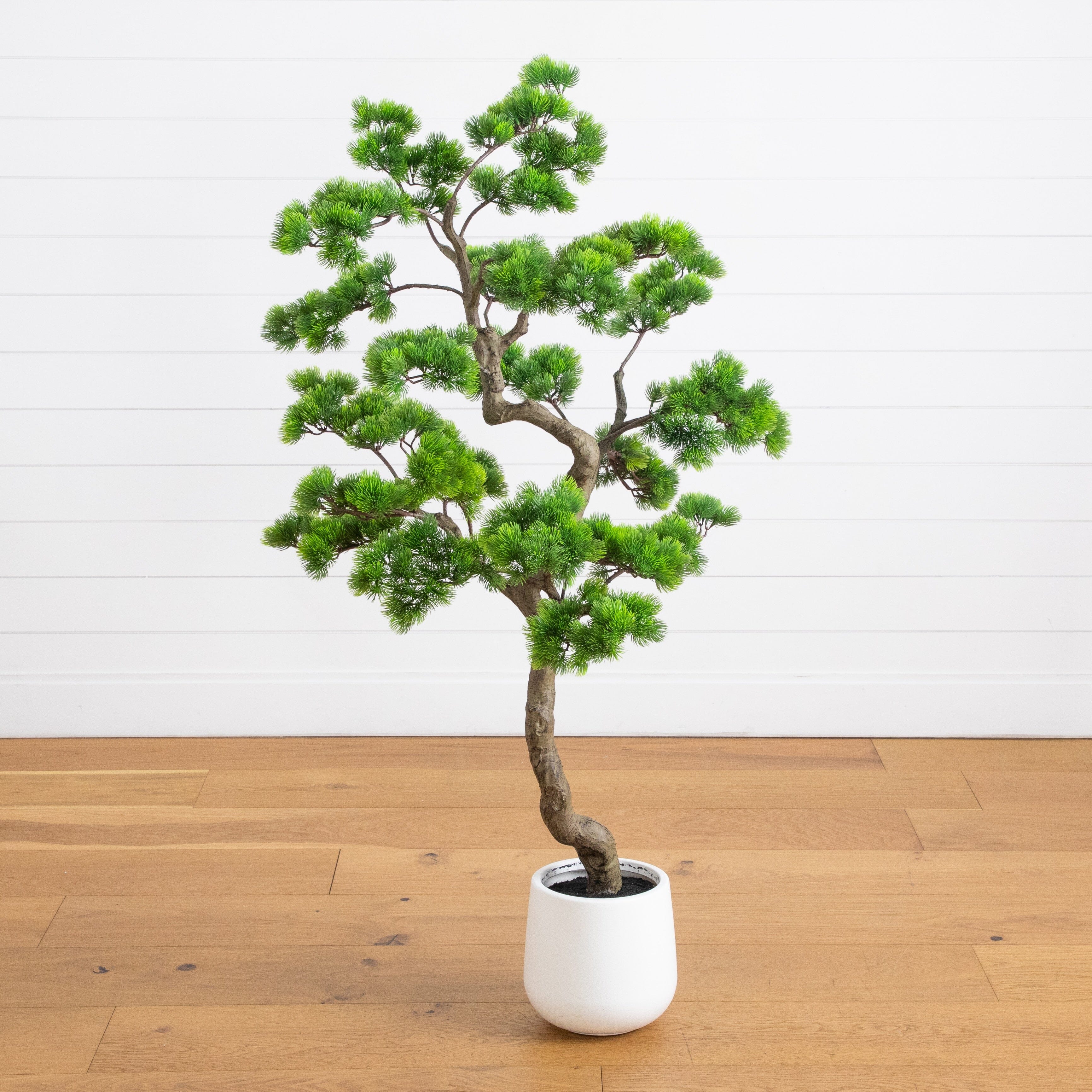 5’ Artificial Bonsai Style Cedar Tree in Decorative White Planter