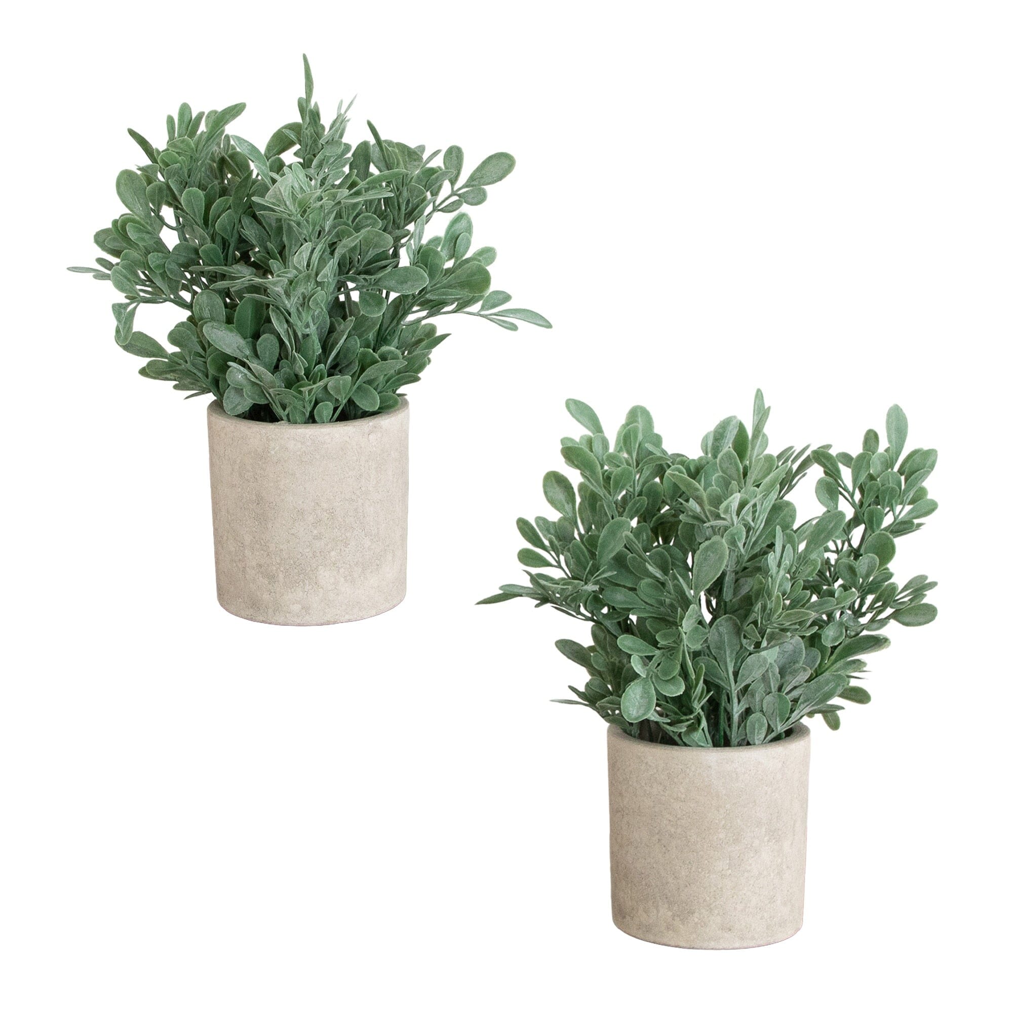 8" Artificial Boxwood in Decorative Planter - Set of 2