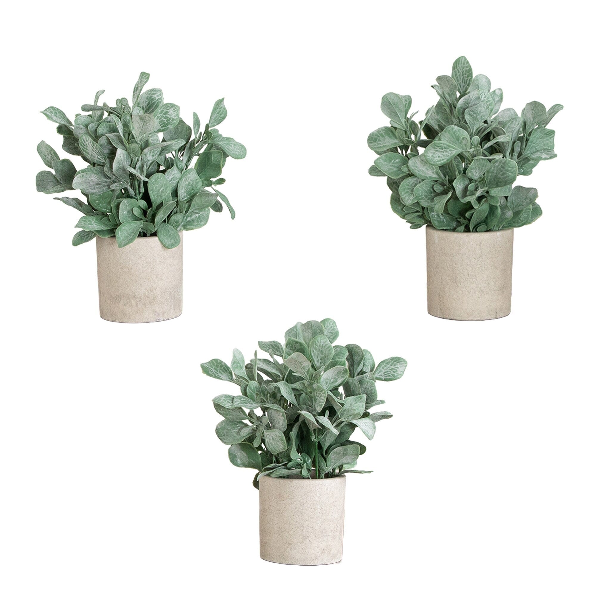 8" Artificial Lambs Ear in Decorative Planter - Set of 3