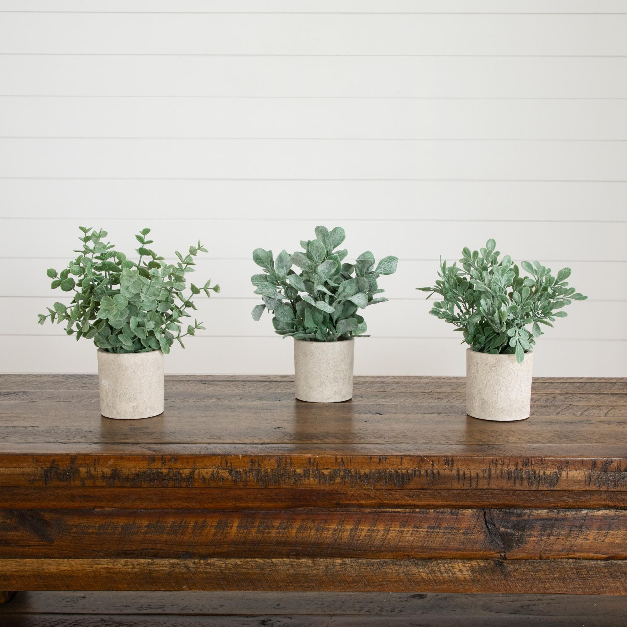 8" Artificial Mixed Eucalyptus Plant in Decorative Planter - Set of 3