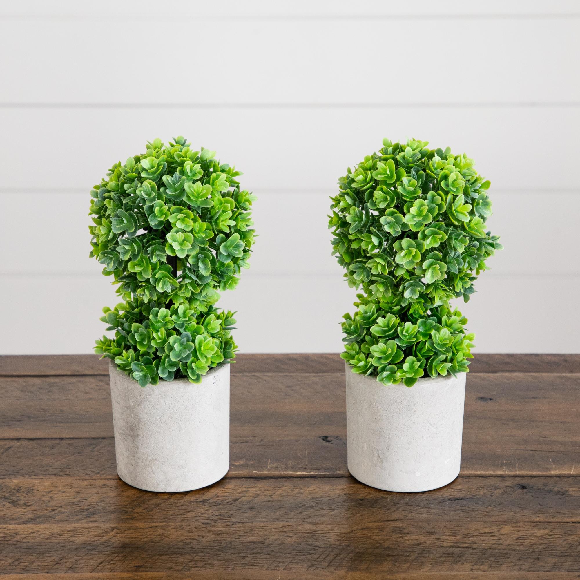 9" Artificial Mini Eucalyptus Ball Topiary in Cement Planter -Set of 2