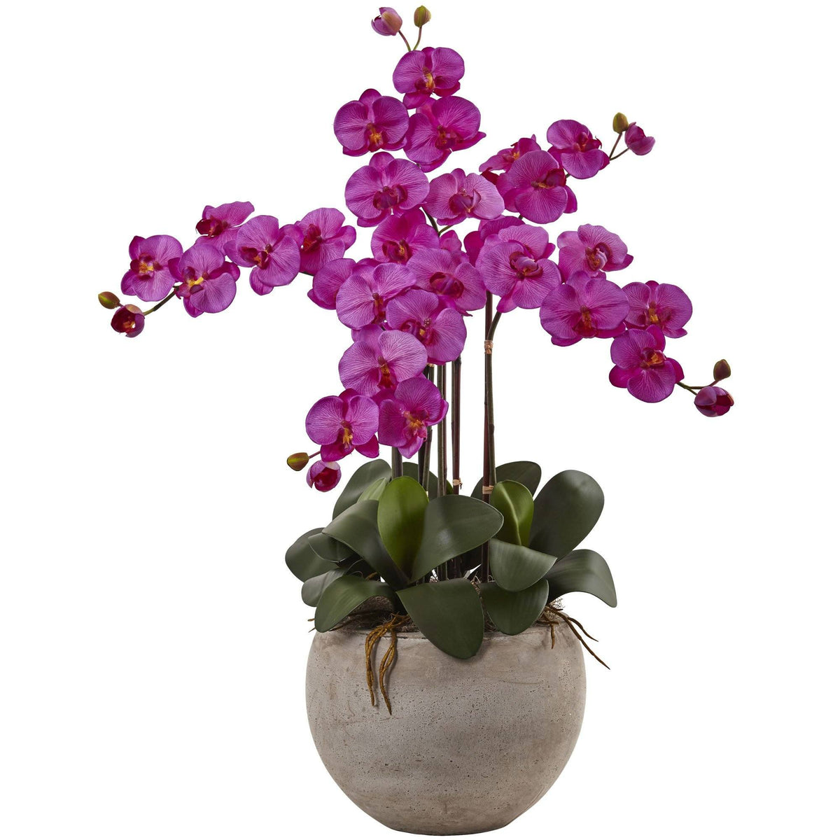 Phalaenopsis Orchid Arrangement with Sand Colored Bowl