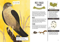 Kid’s Guide to Backyard Birds