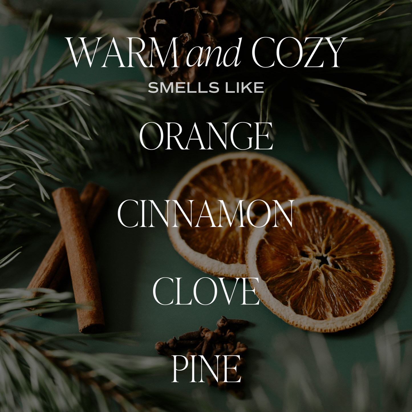 Warm and Cozy 15 oz Soy Candle, Matte
