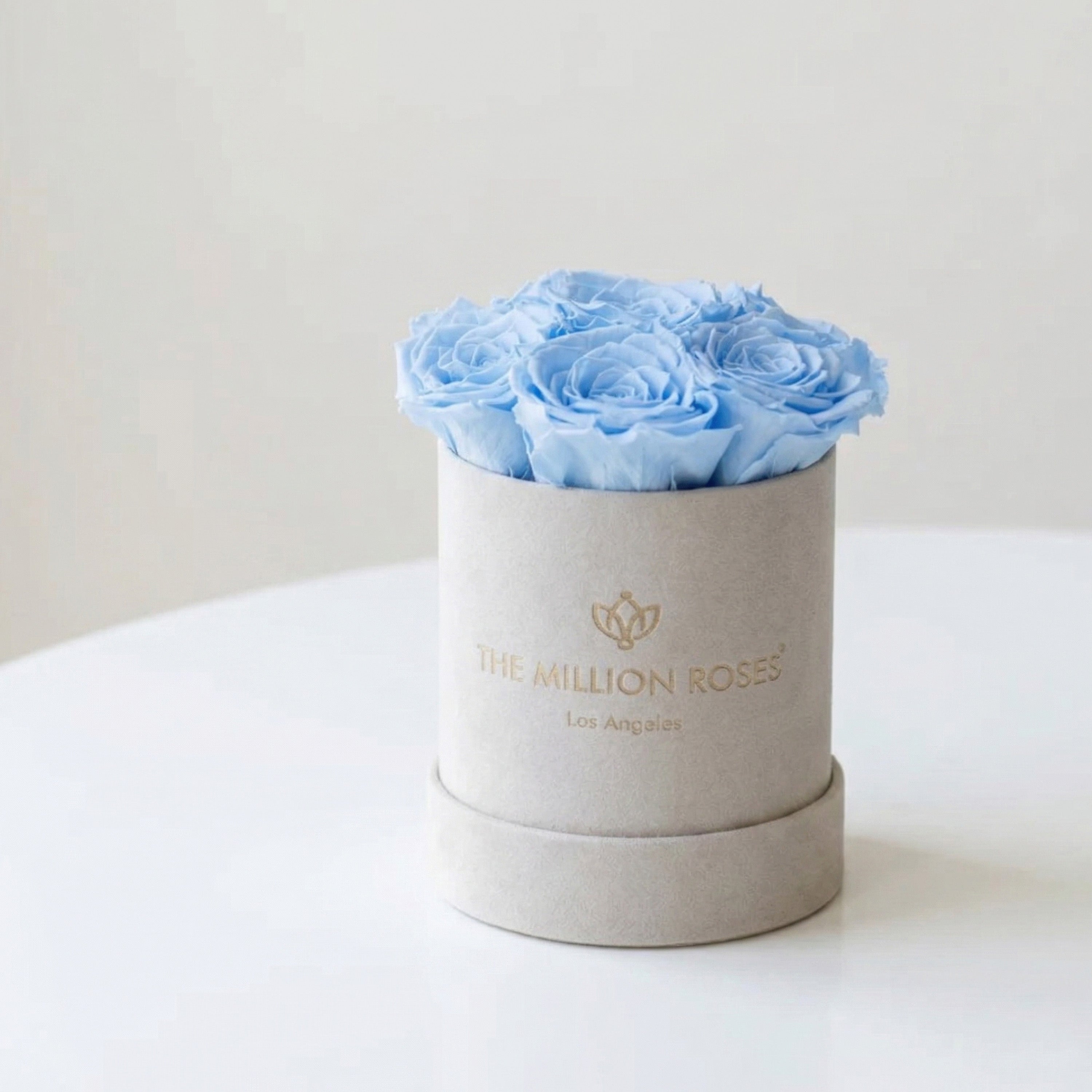 Essence Beige Suede Box | Light Blue Roses