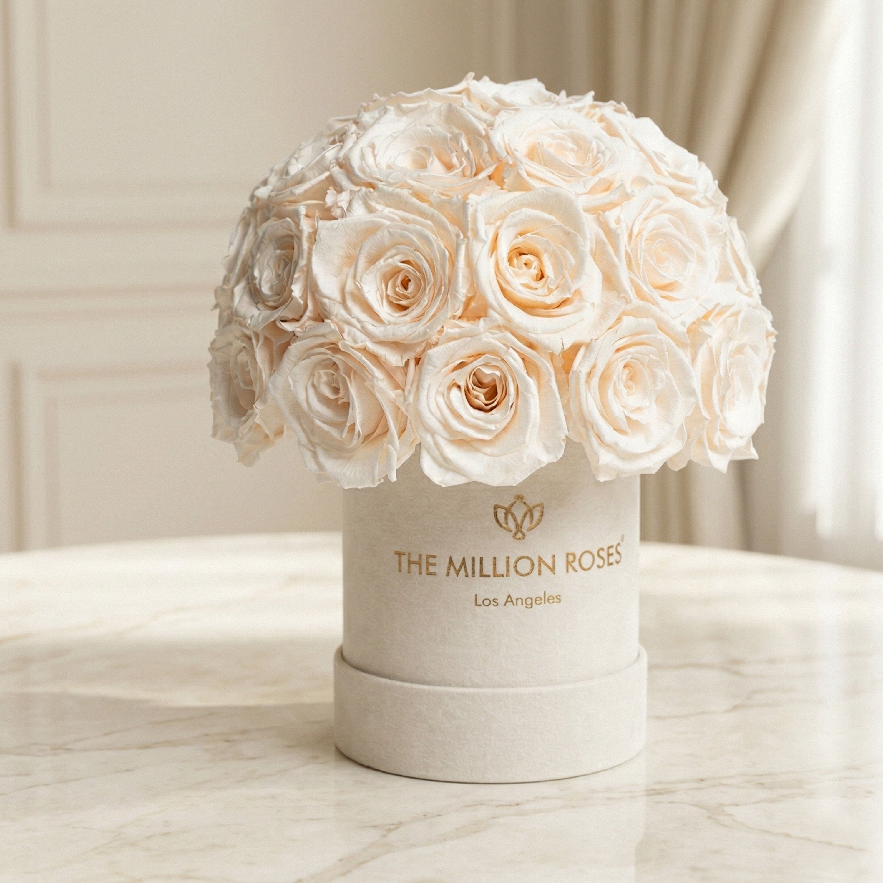 Essence Beige Suede Superdome Box | White Roses