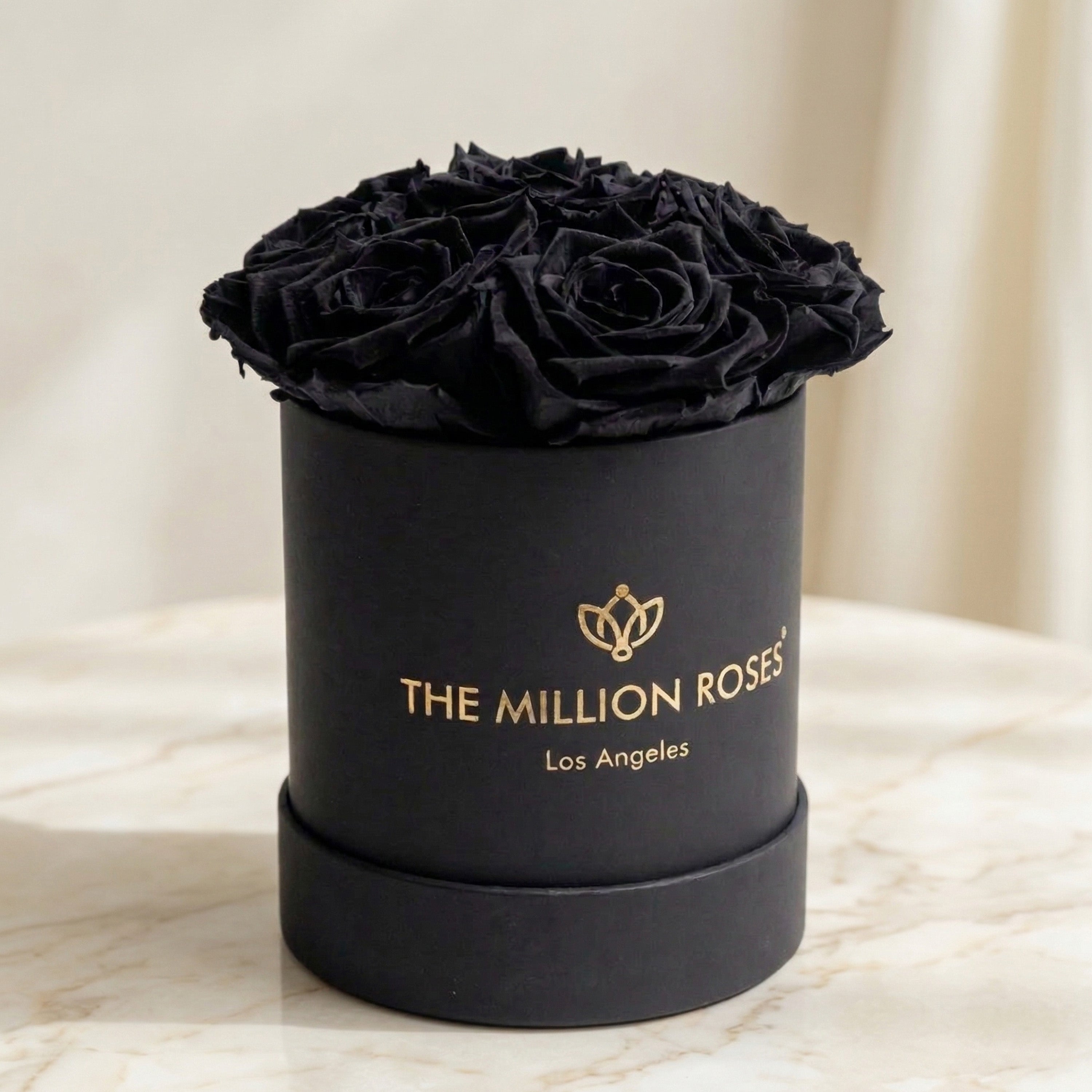 Essence Black Box | Black Roses
