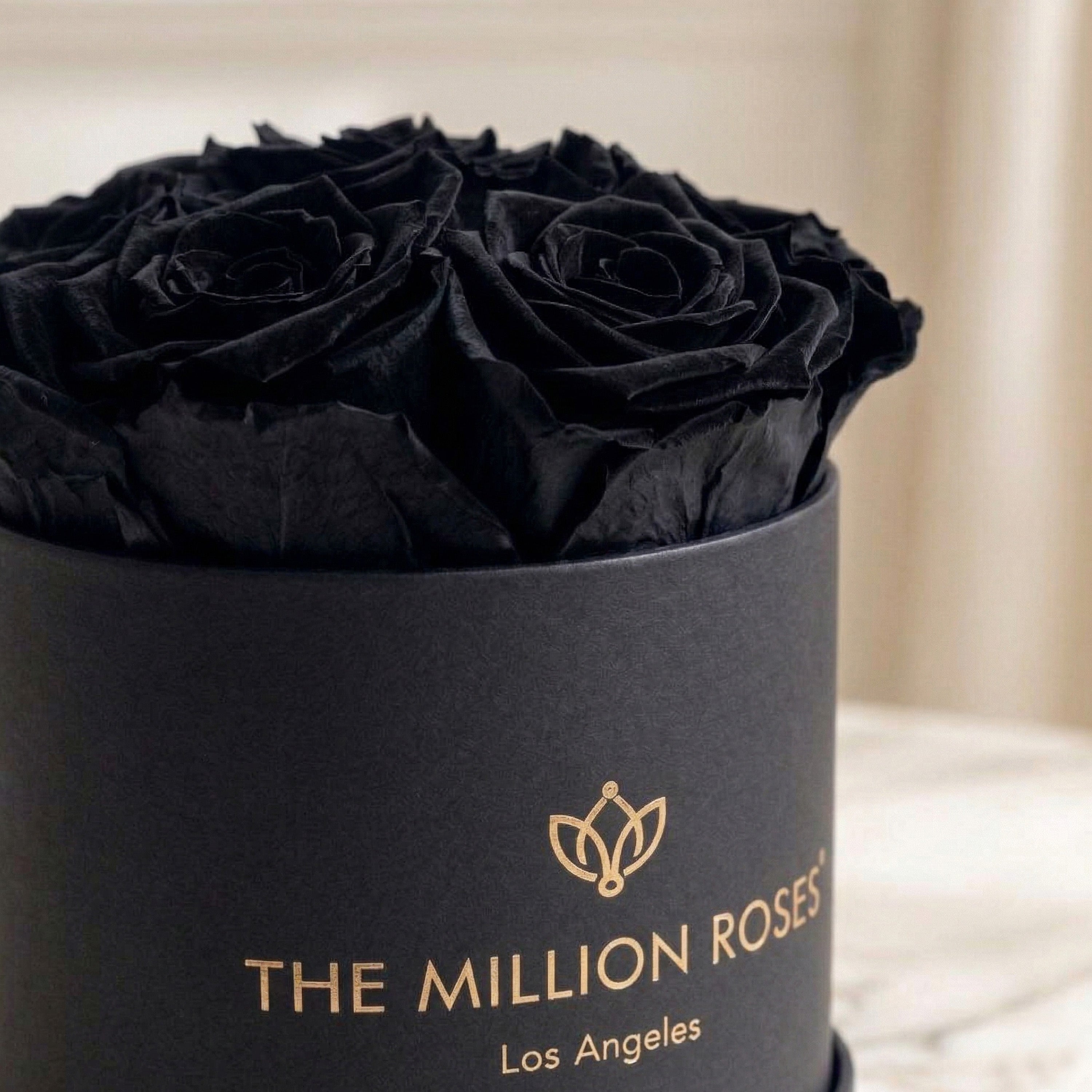 Essence Black Box | Black Roses