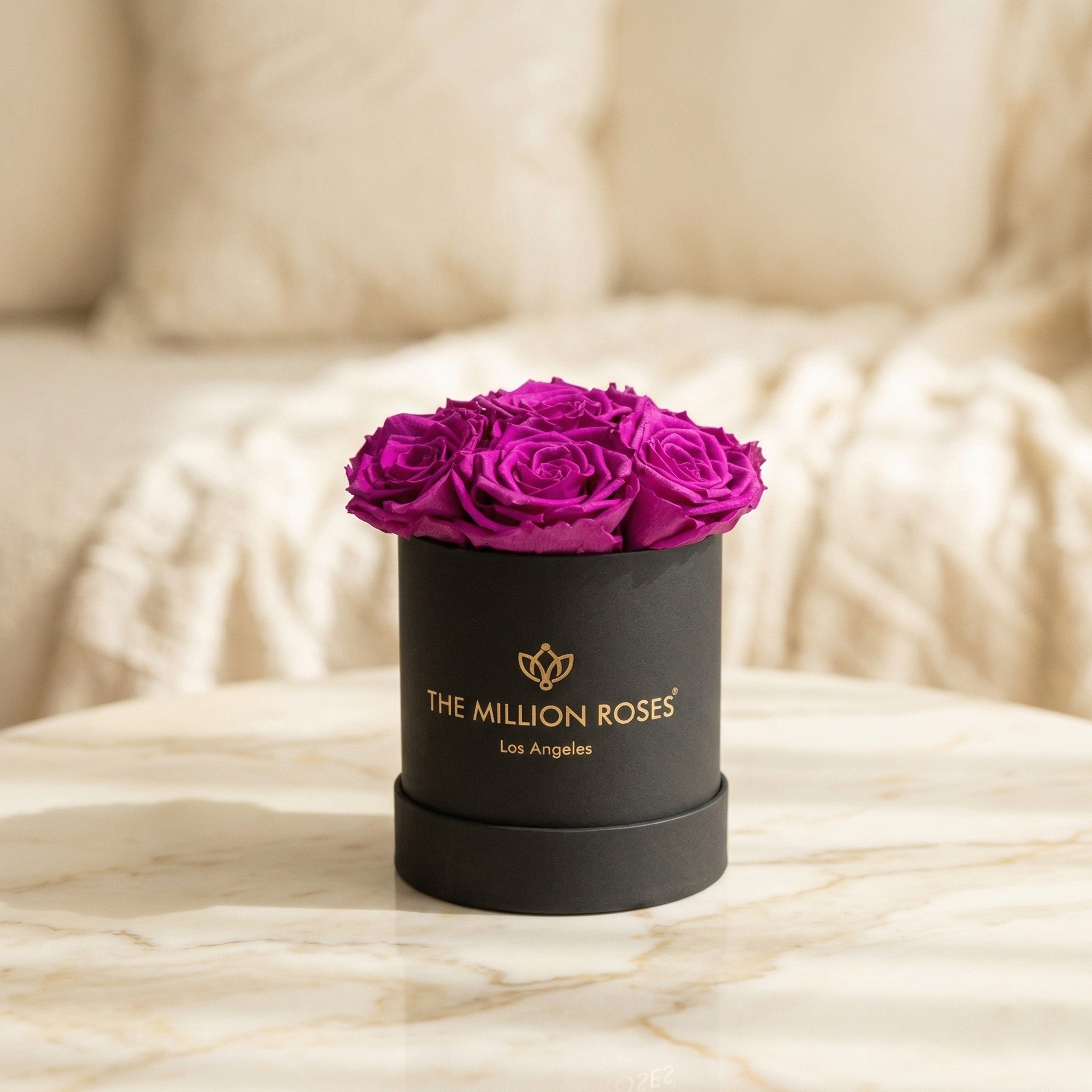 Essence Black Box | Bright Purple Roses