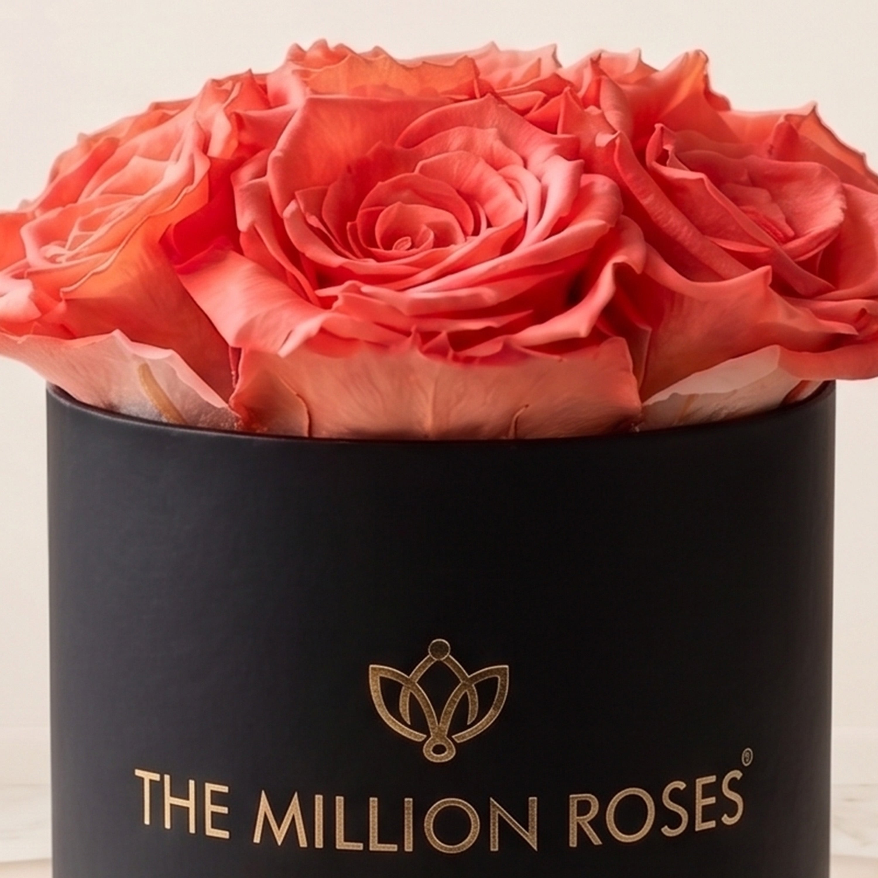 Essence Black Box | Coral Roses