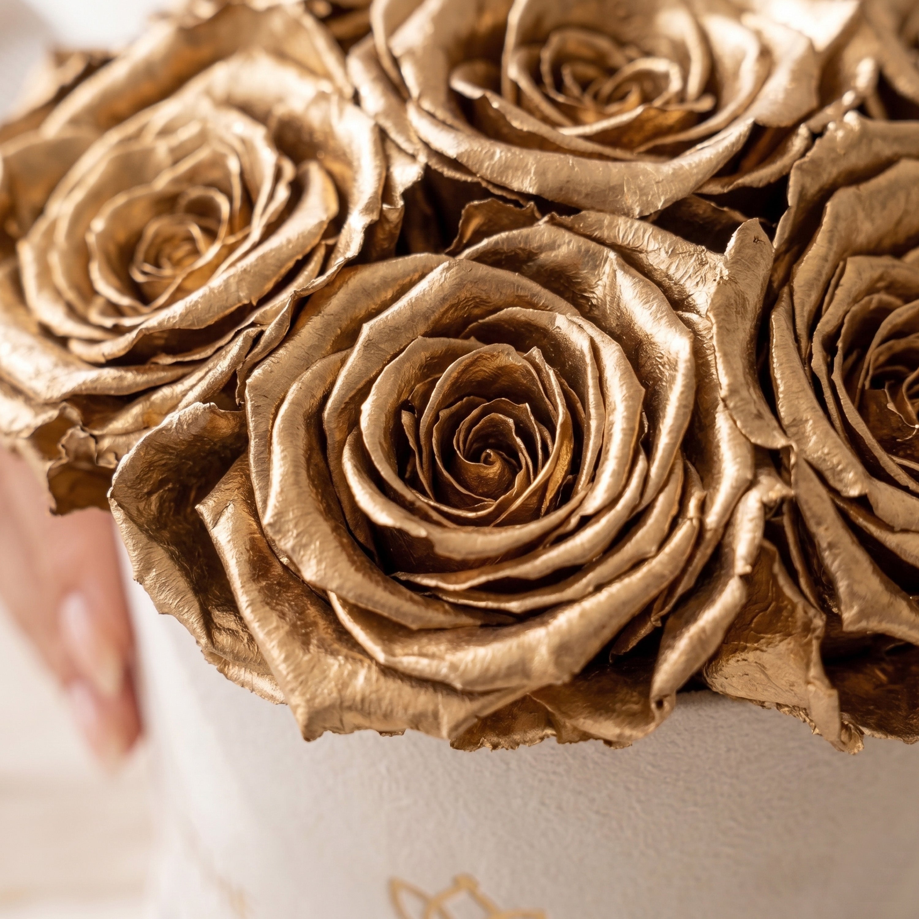 Essence Beige Suede Box | Gold Roses