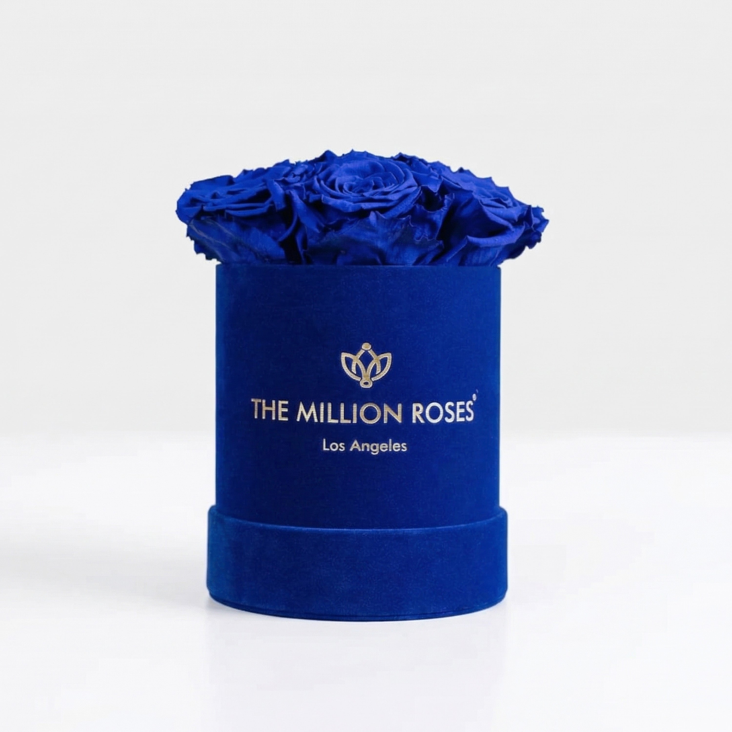 Essence Royal Blue Suede Box | Royal Blue Roses