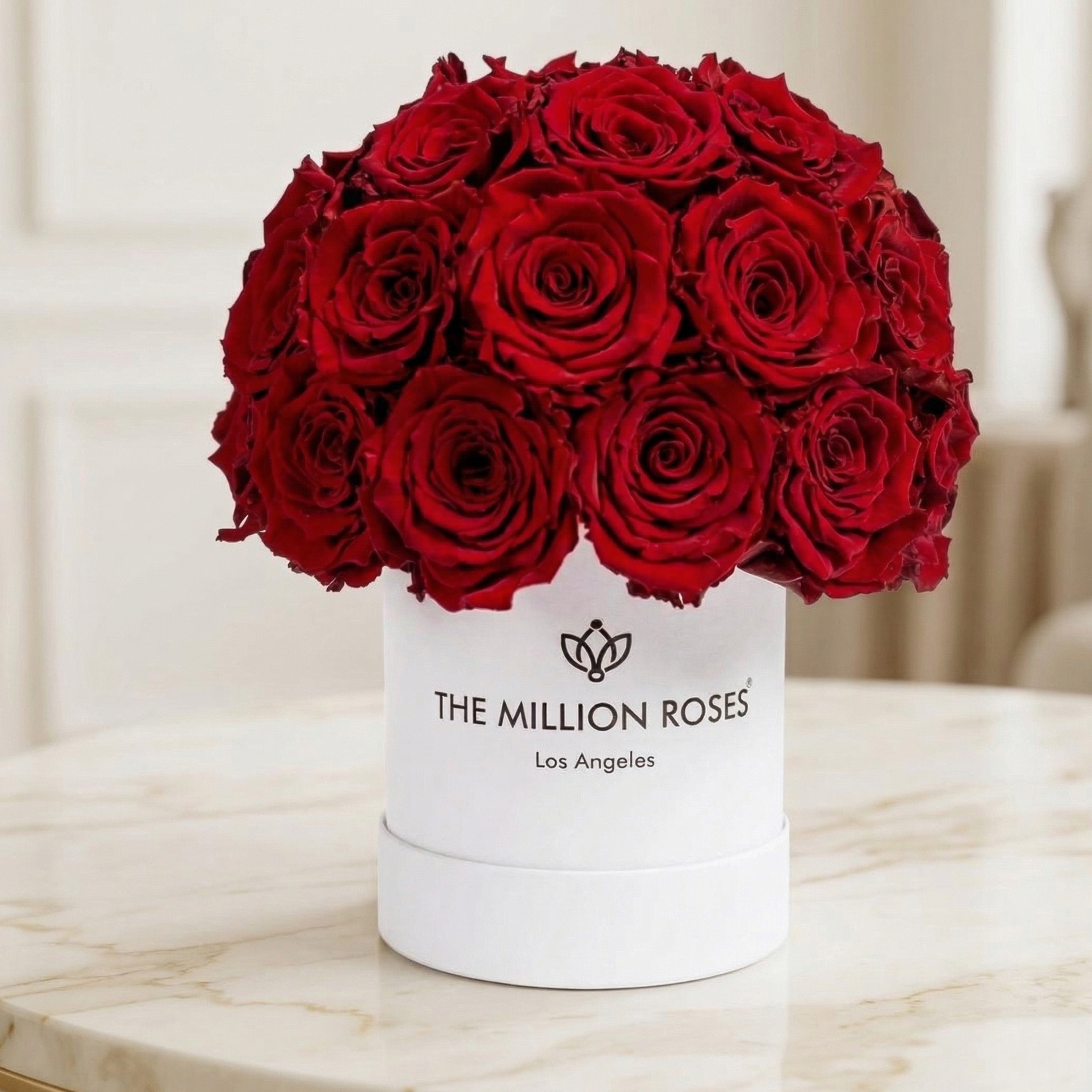 Essence White Superdome Box | Red Roses