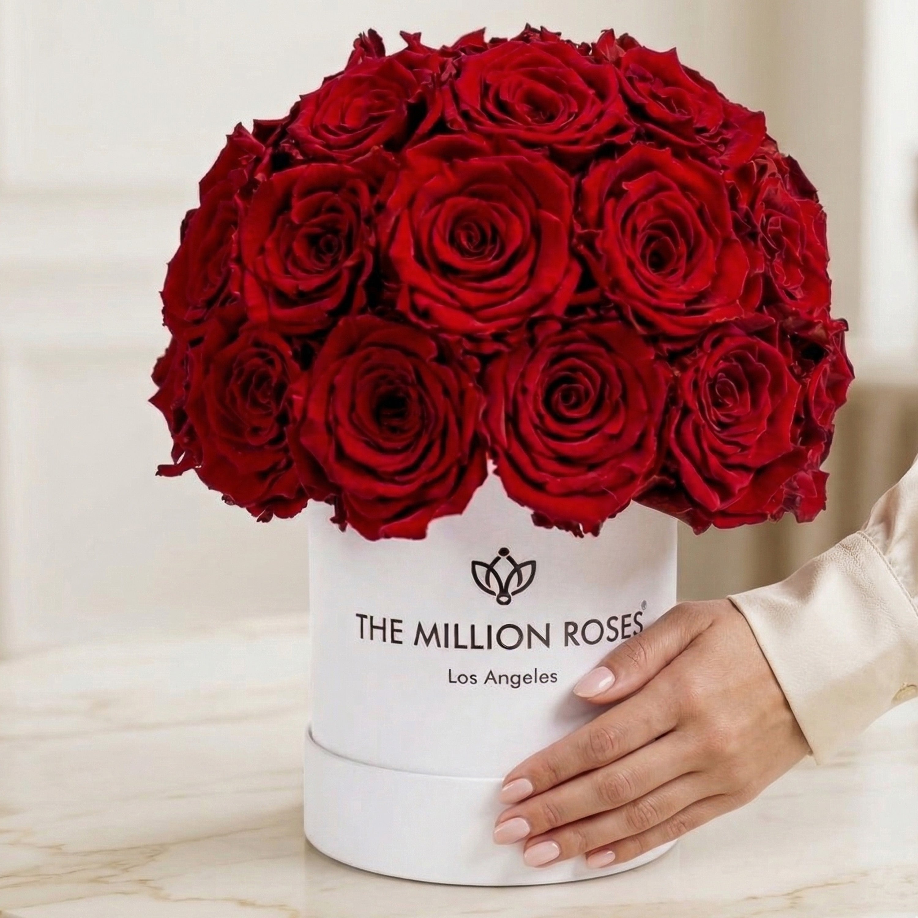 Essence White Superdome Box | Red Roses