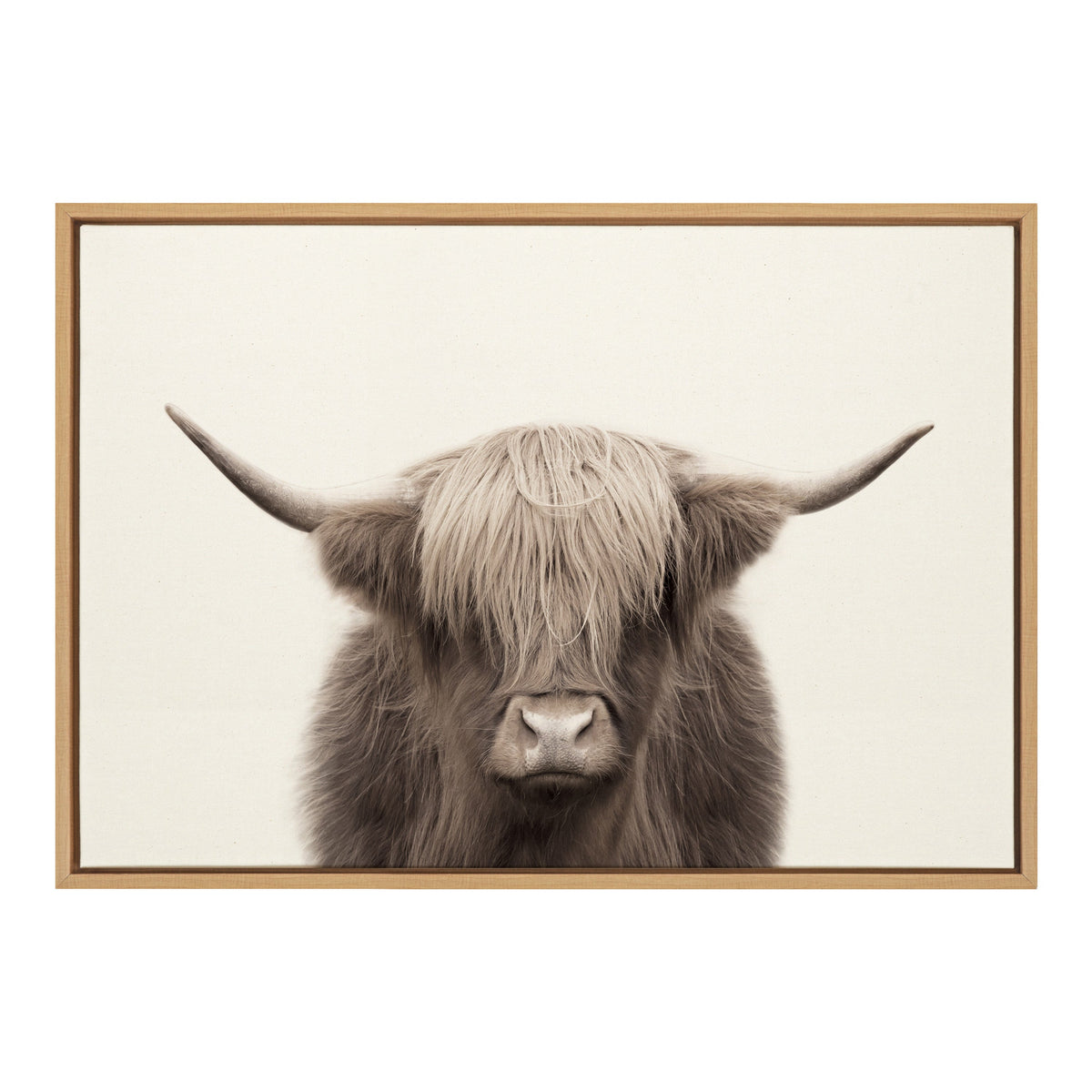 Sylvie Hey Dude Highland Cow Color Framed Canvas by The Creative Bunch Studio