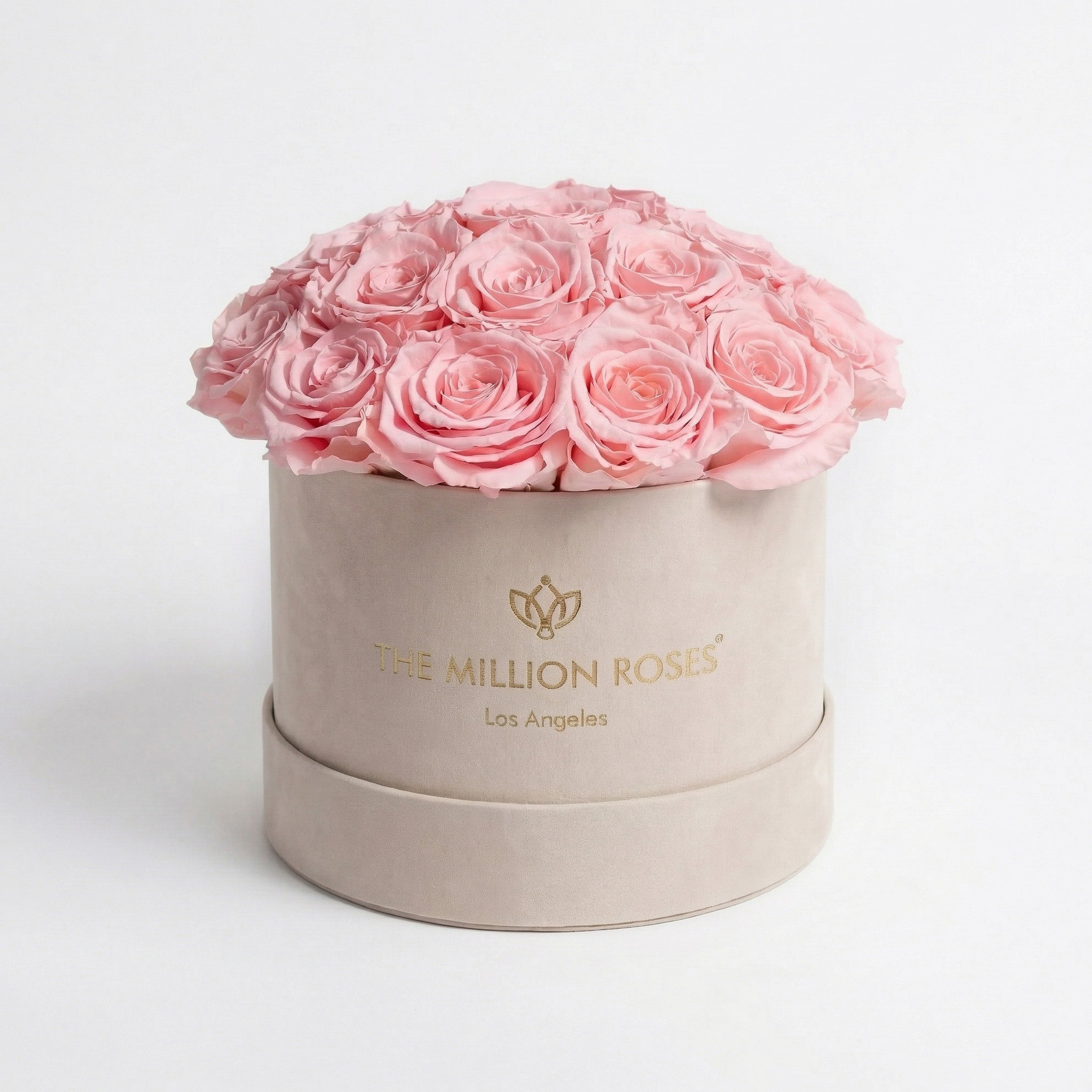 Classic Beige Suede Dome Box | Light Pink Roses