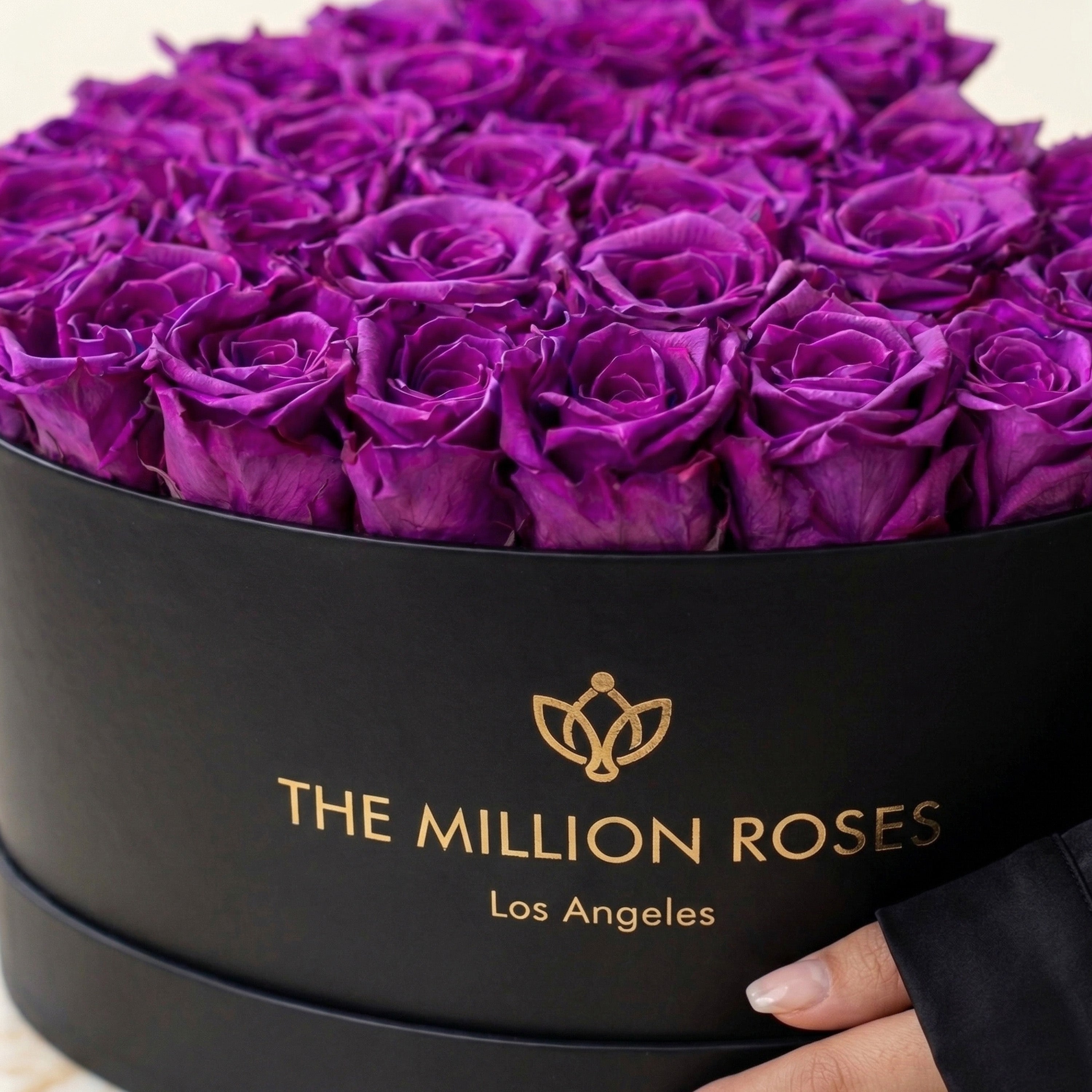 Heart Black Box | Bright Purple Roses