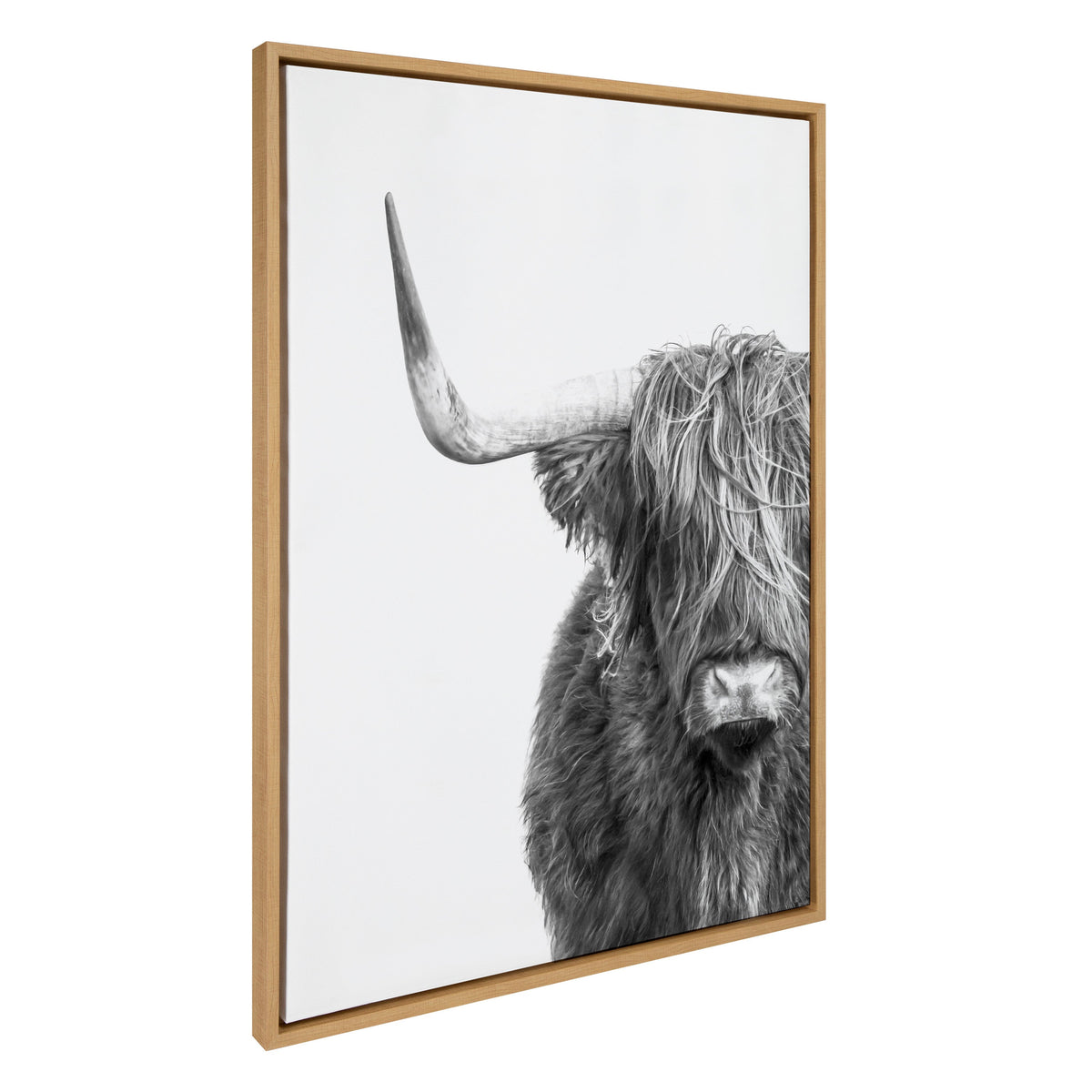 Sylvie B&W Highland Cow No. 1 Framed Canvas by Amy Peterson Art Studio