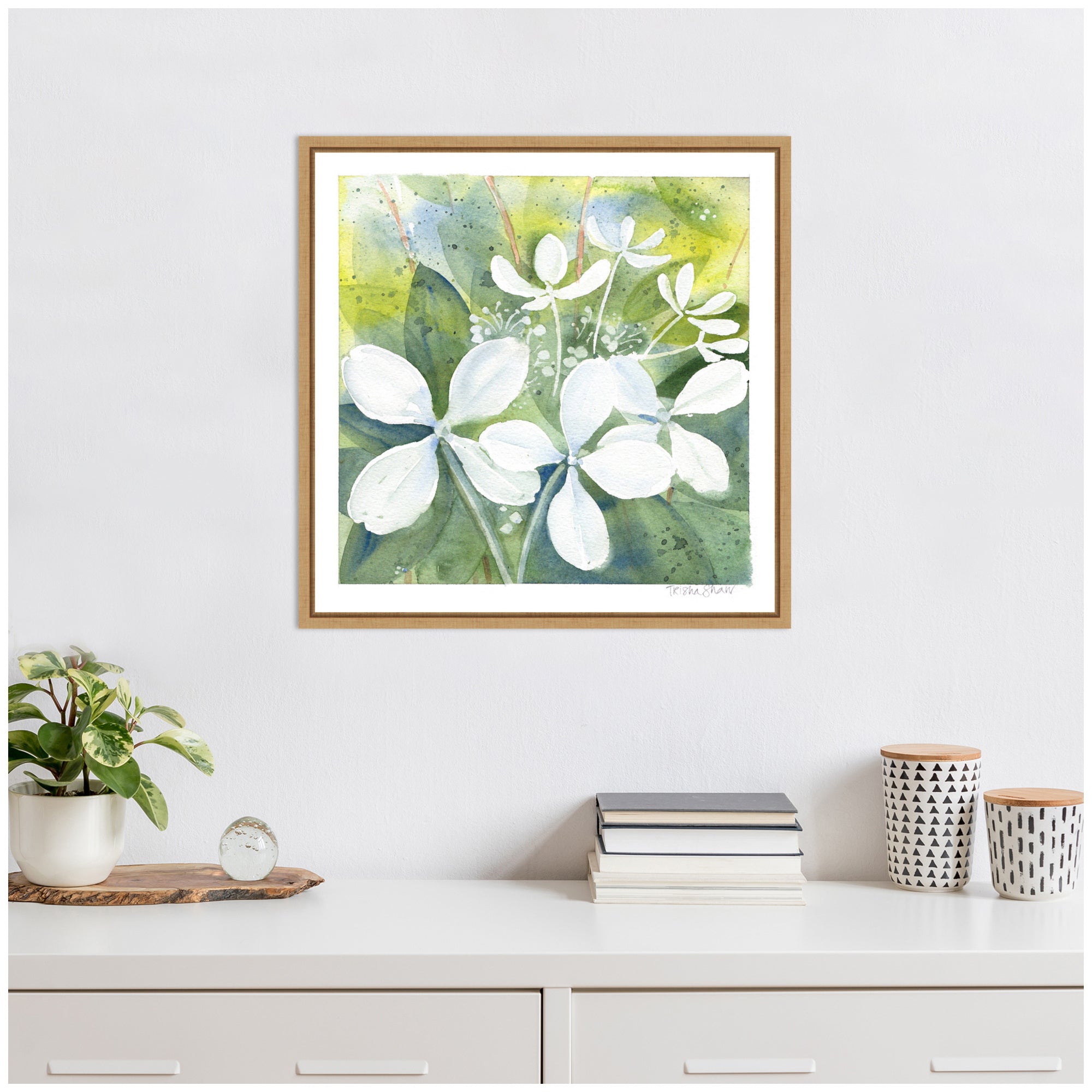 Sylvie White Phantom Hydrangea in Greens Framed Canvas by Patricia Shaw