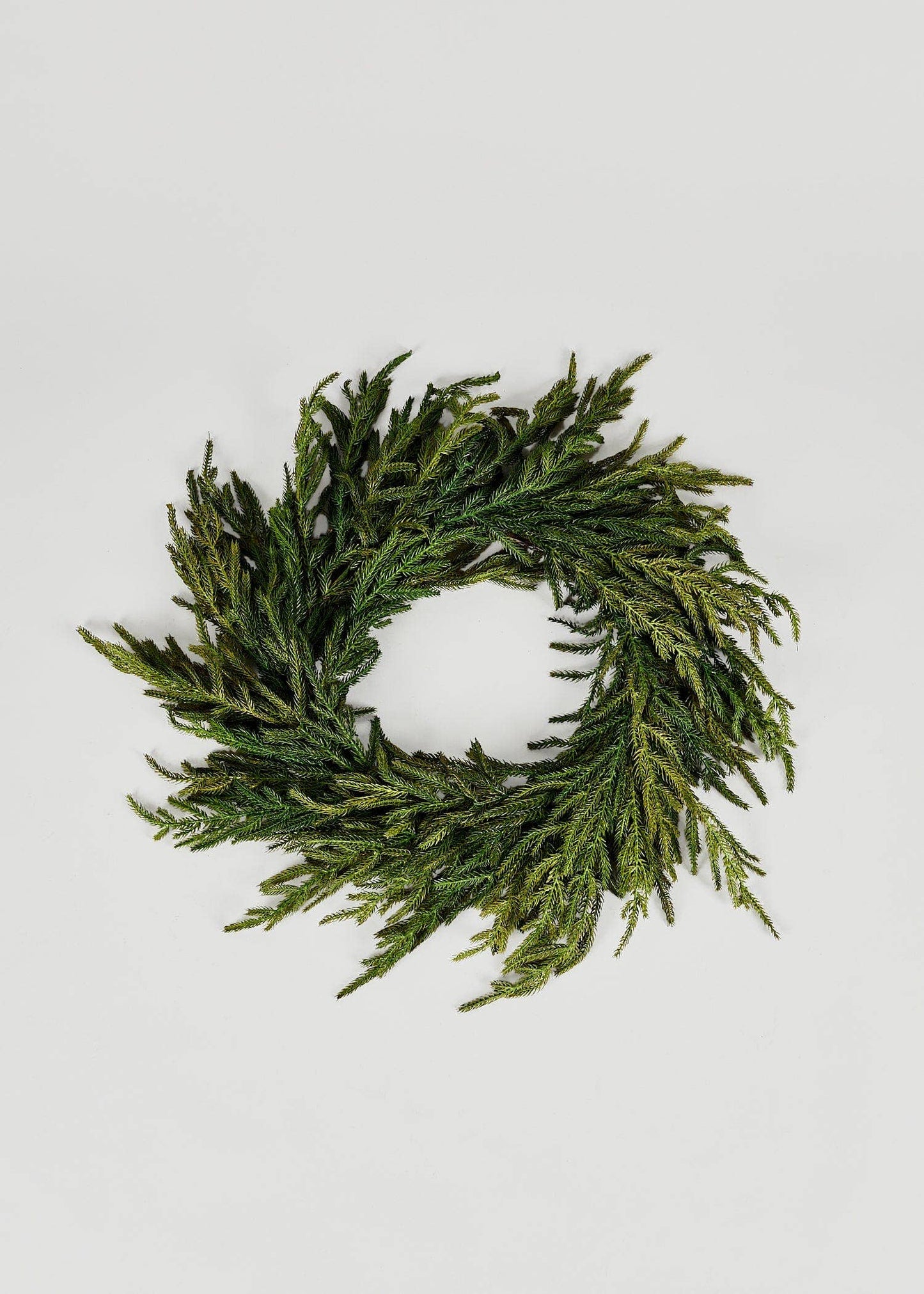 Norfolk Pine Wreath