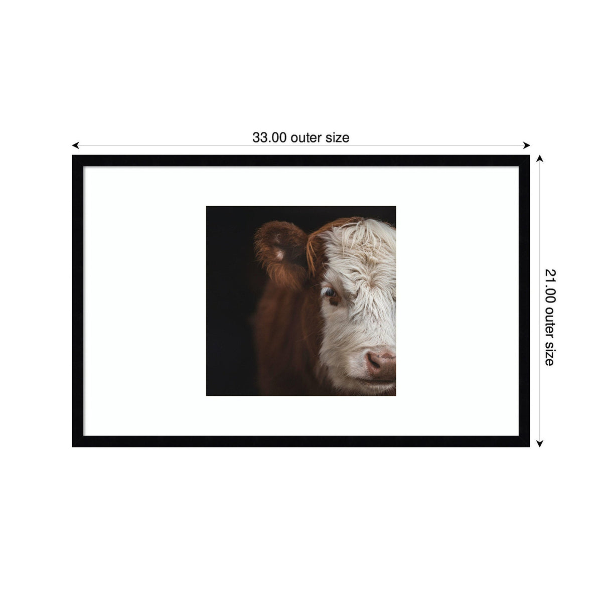 Cow Close by Emiko and Mark Franzen F2 Images Framed Wall Art Print