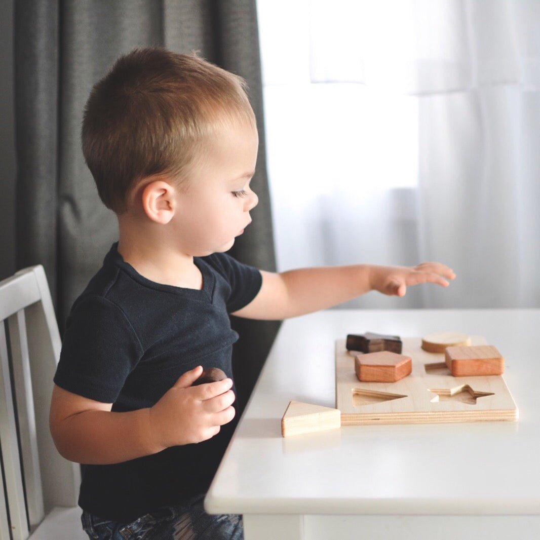 Chunky Shape Puzzle
