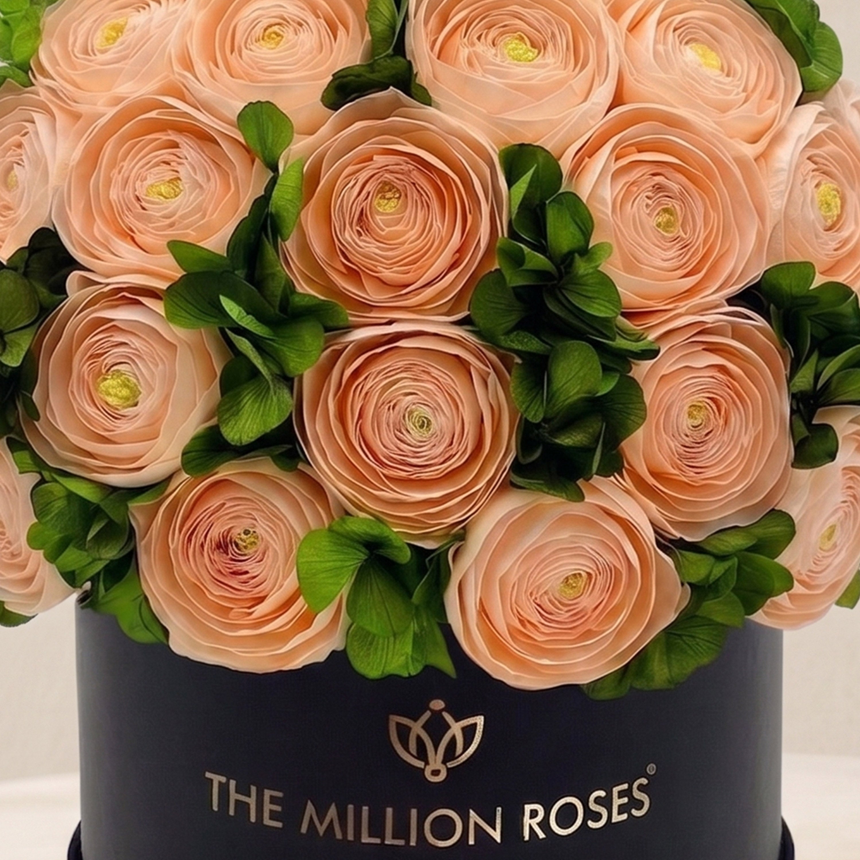 Classic Black Box | Peach Persian Buttercups & Green Hydrangeas