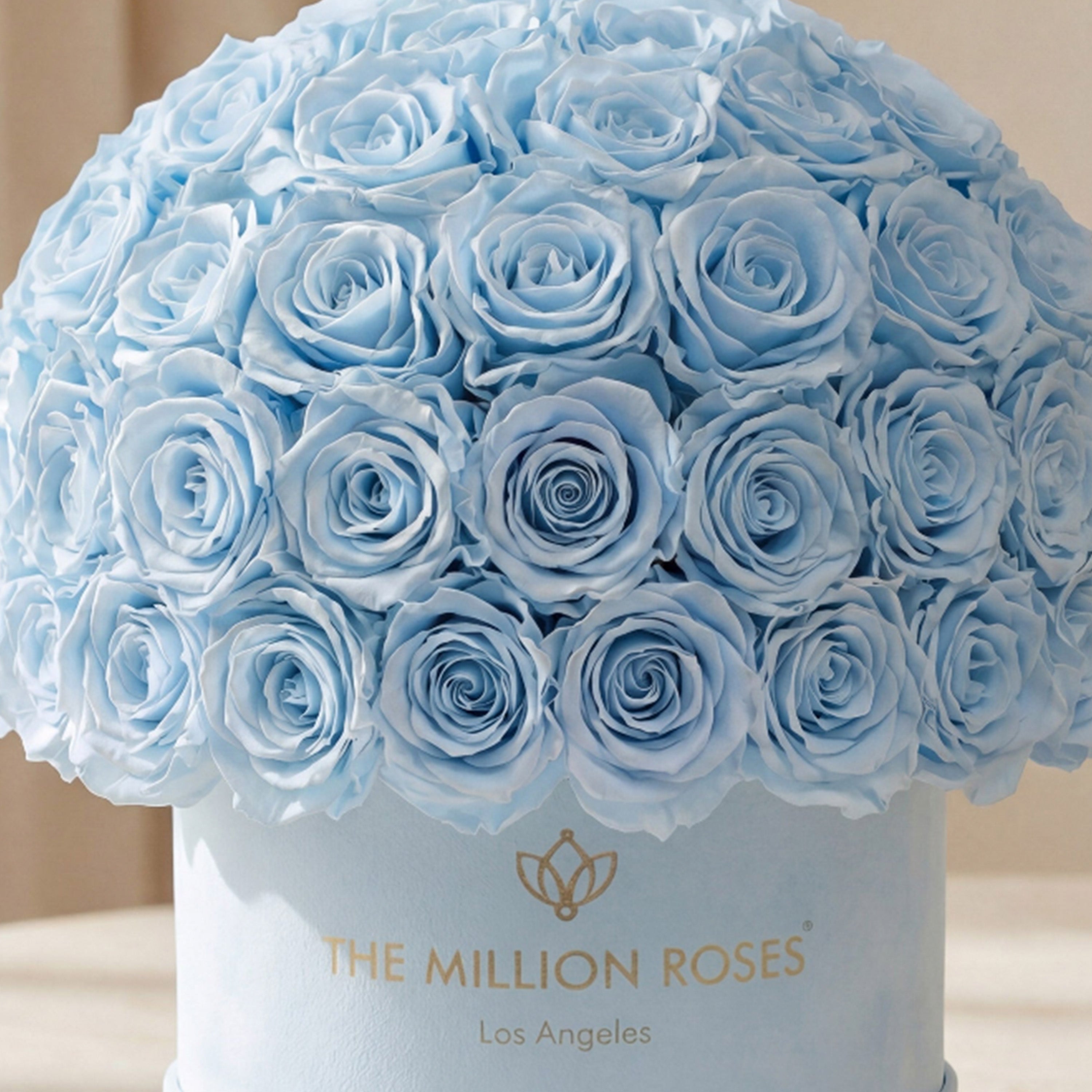 Classic Light Blue Suede Superdome Box | Light Blue Roses