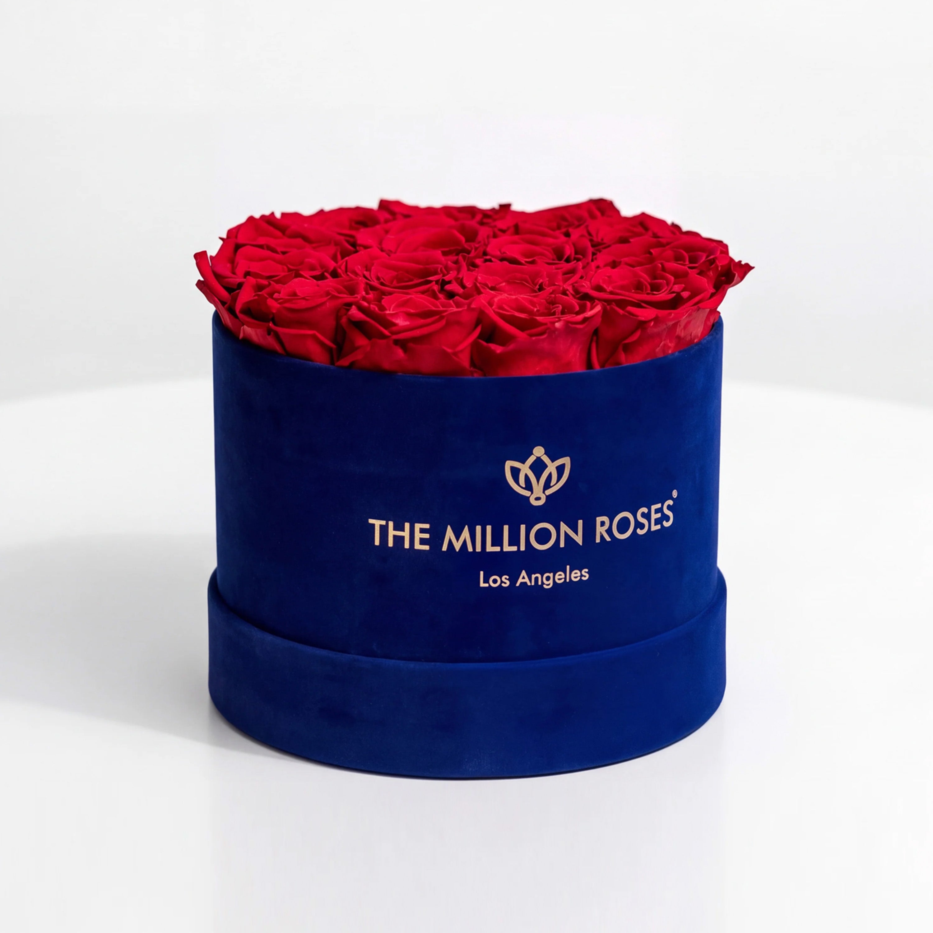 Classic Royal Blue Suede Box | Red Roses