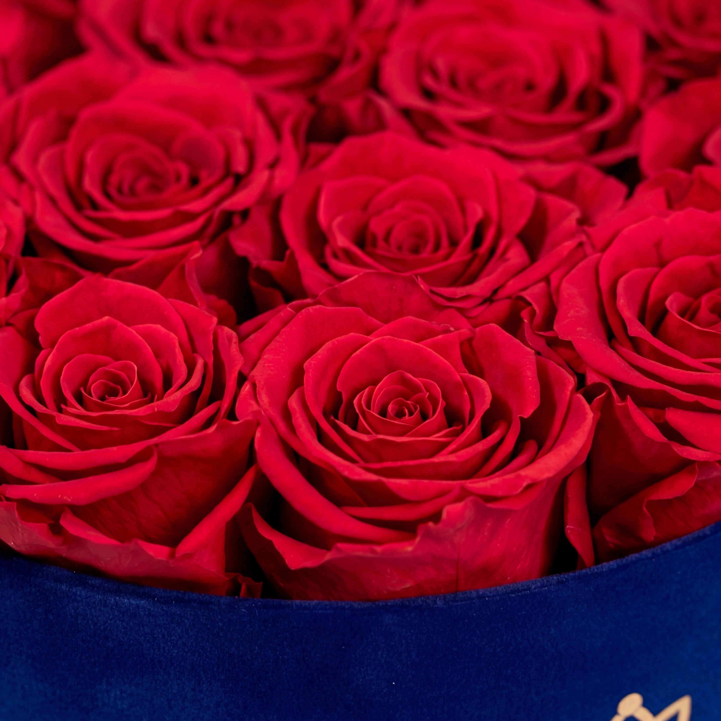 Classic Royal Blue Suede Box | Red Roses