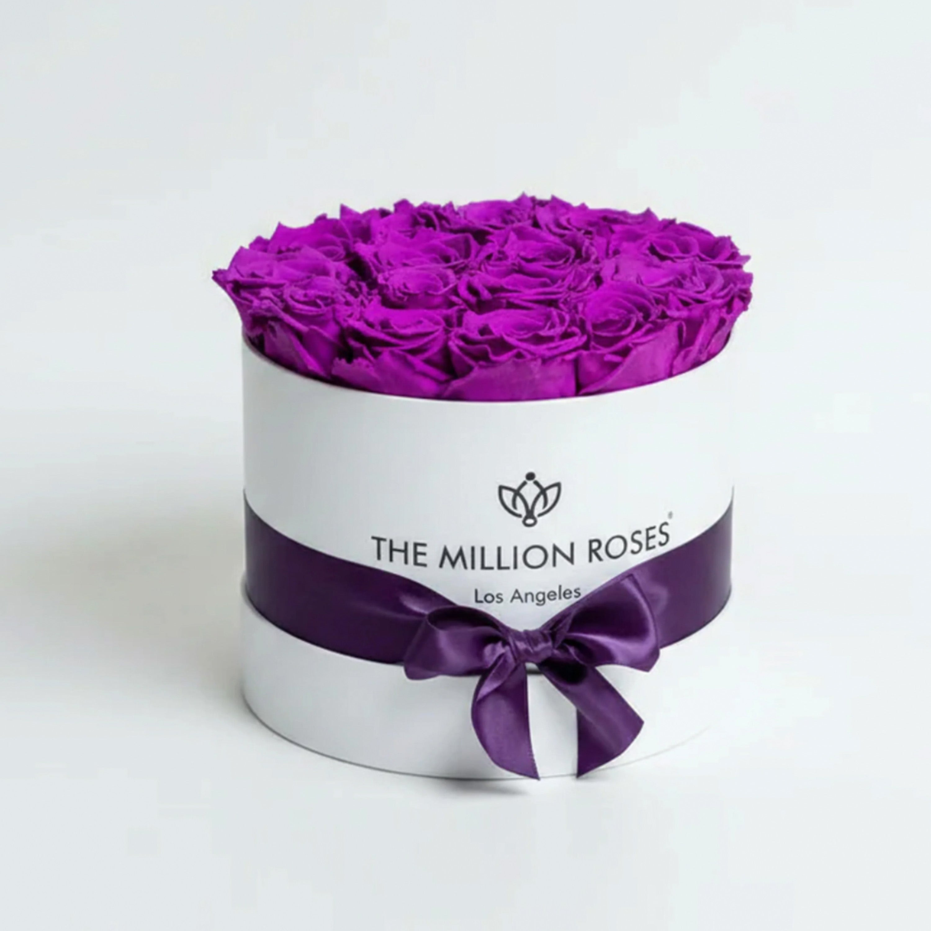 Classic White Box | Bright Purple Roses