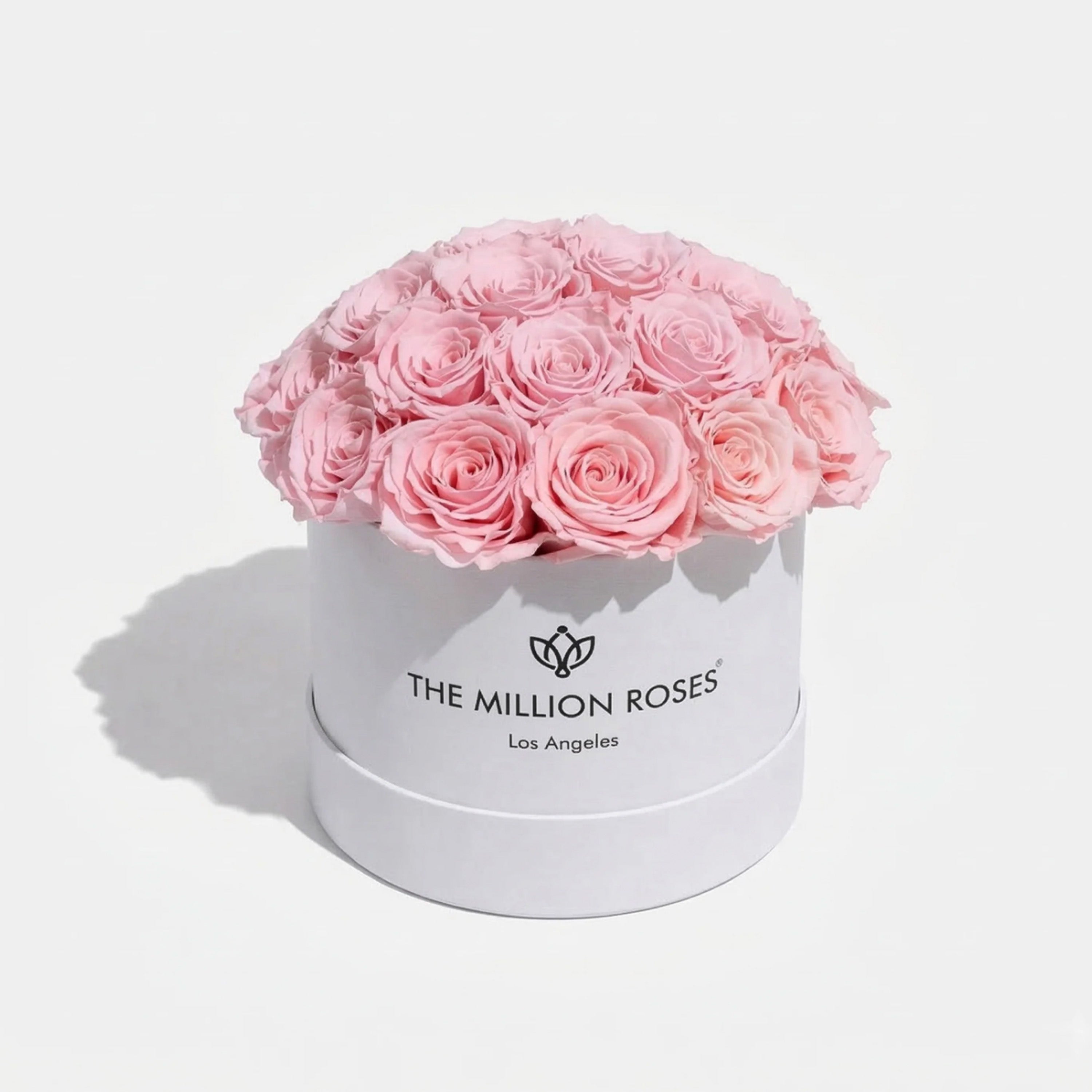 Classic White Dome Box | Light Pink Roses