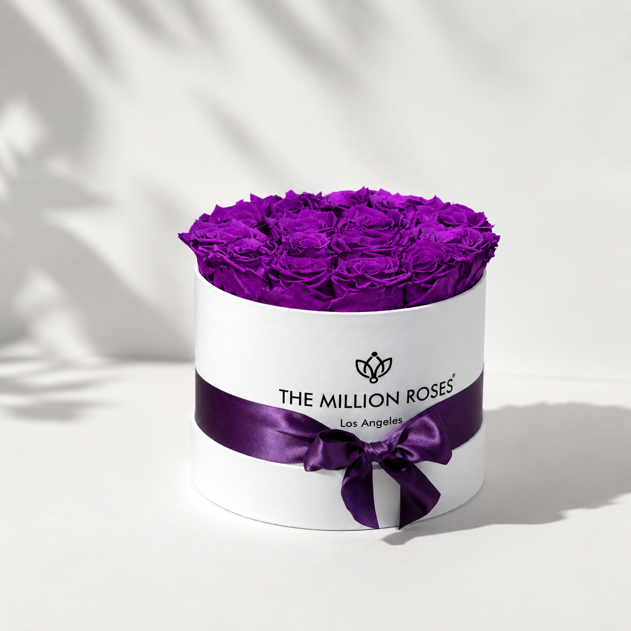 Classic White Box | Bright Purple Roses
