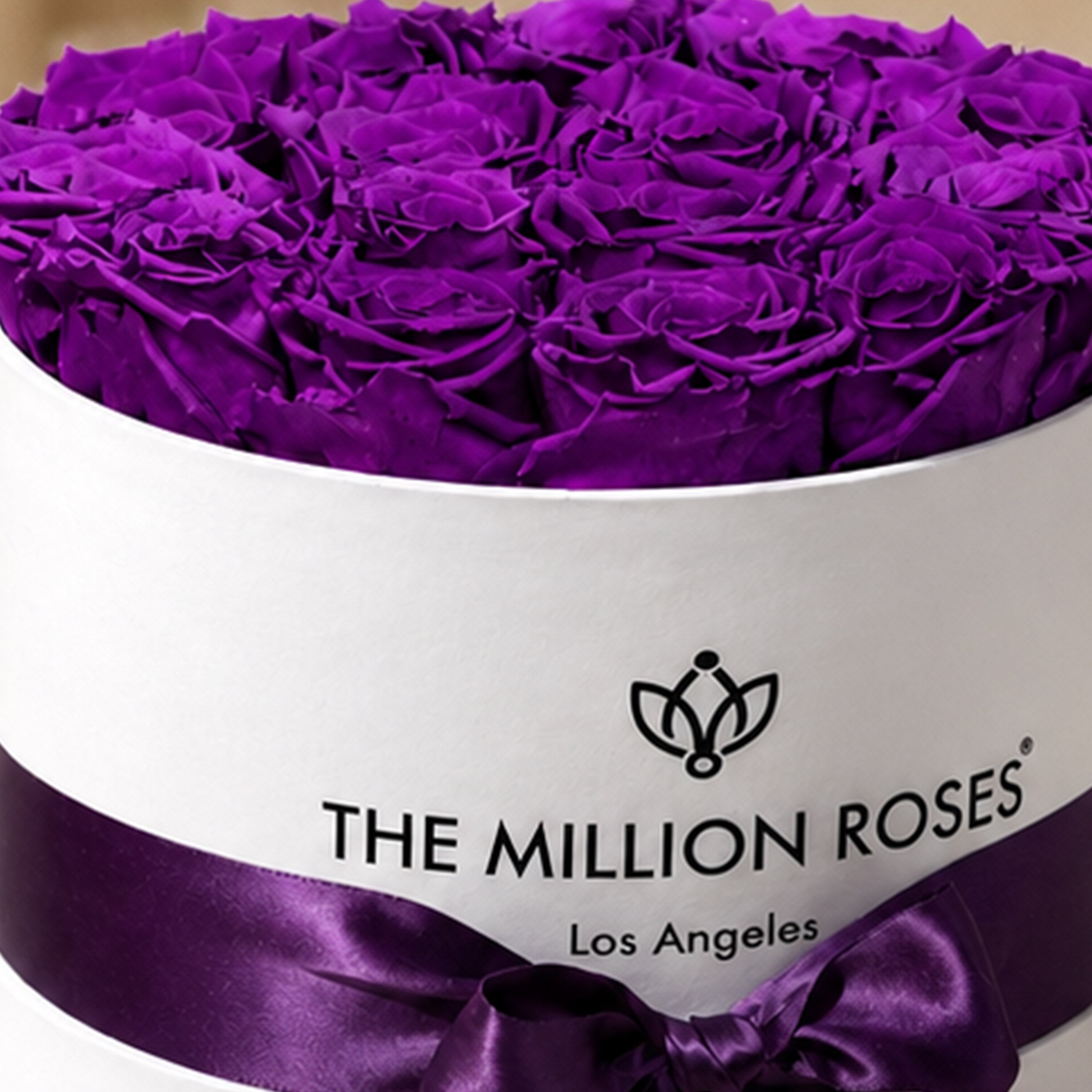 Classic White Box | Bright Purple Roses