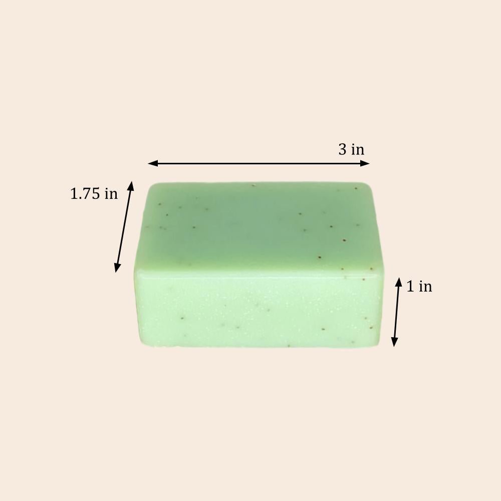 Cold Process Soap Bar | Tea Tree