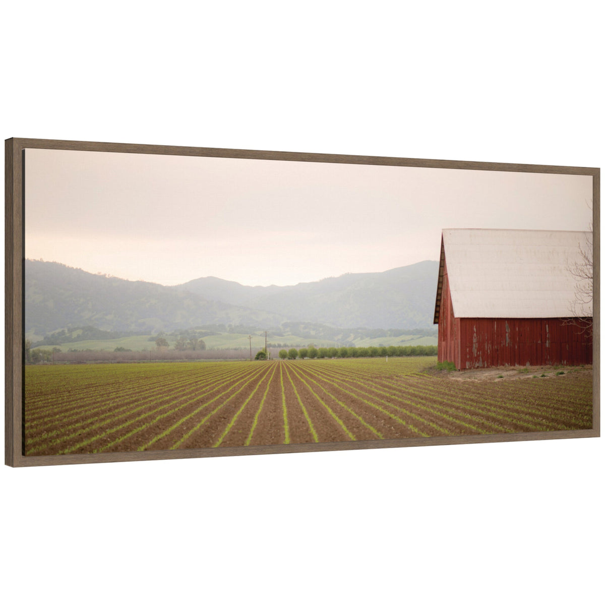 Sylvie Farm Life Framed Canvas by Crystal Lynn Collins